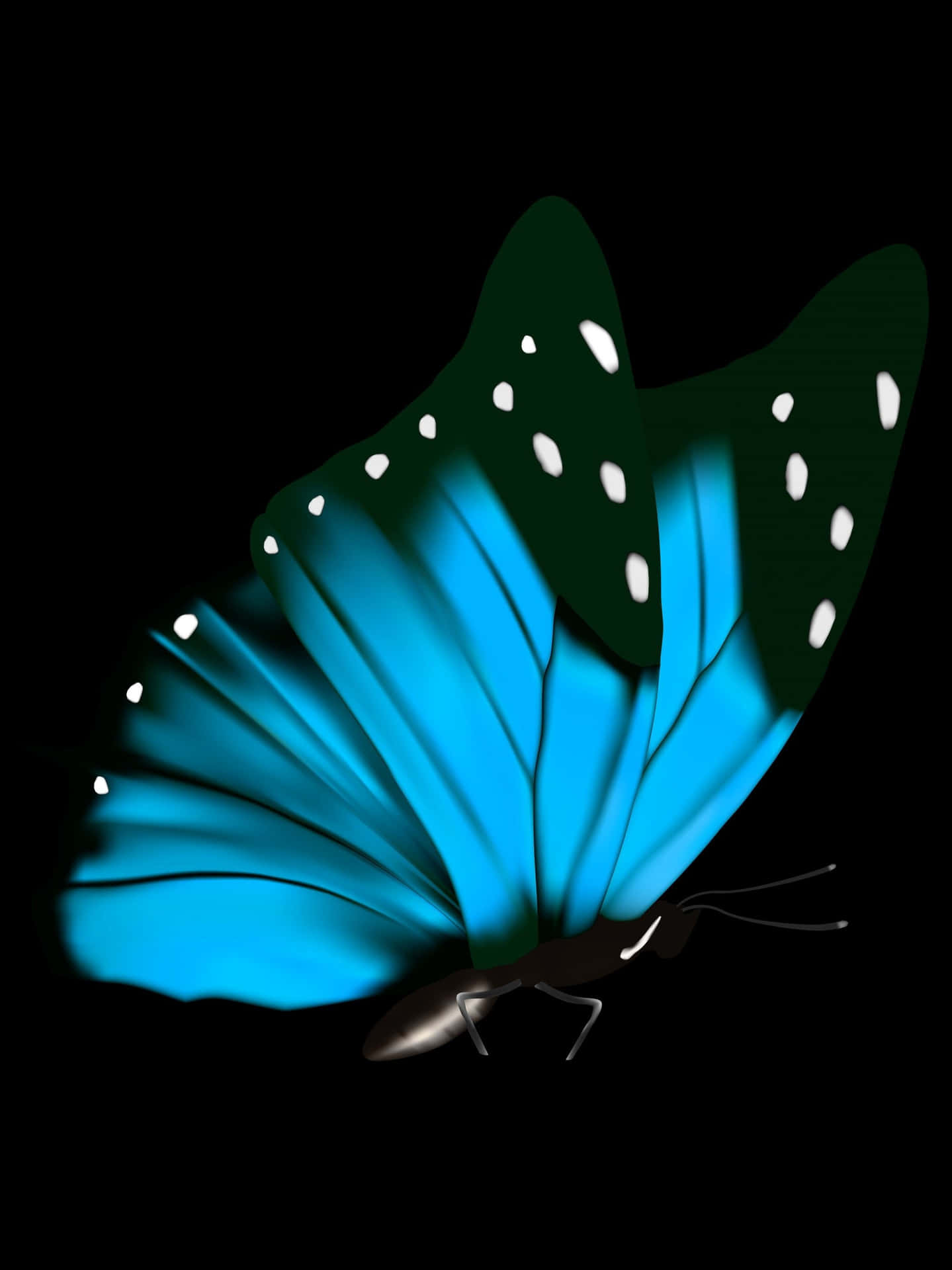 Caption: Mysterious Dark Butterfly On Abstract Background Background
