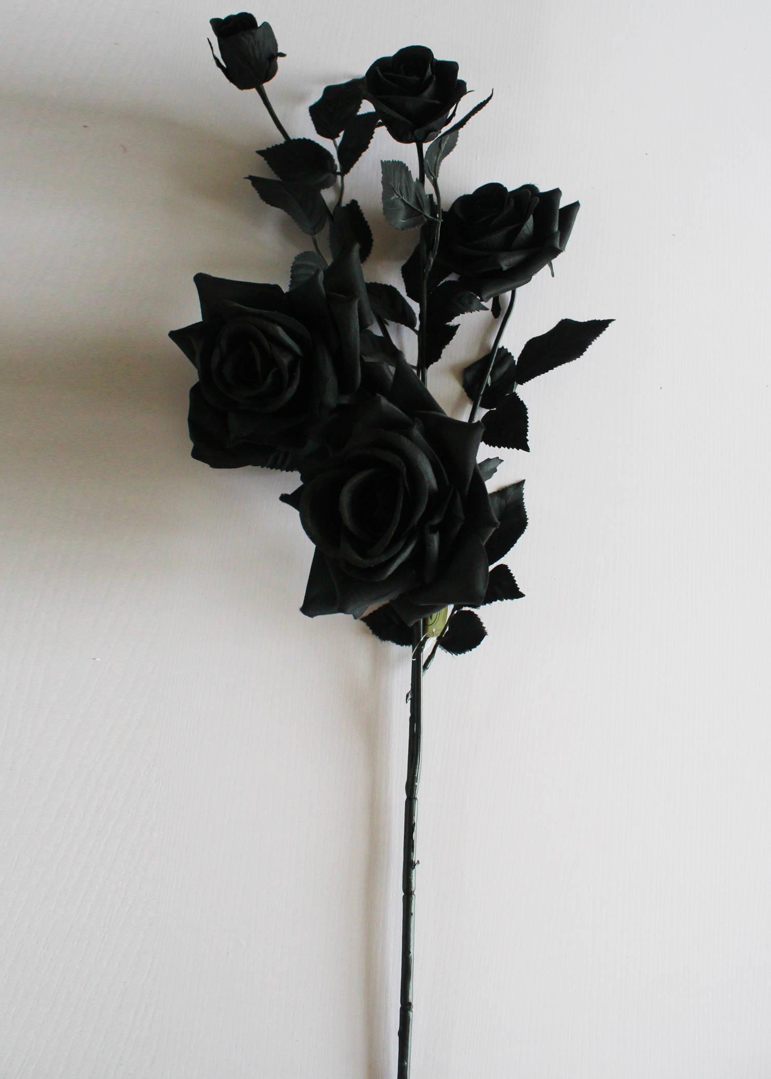 Caption: Mystic Beauty: Black Rose Iphone Wallpaper Background