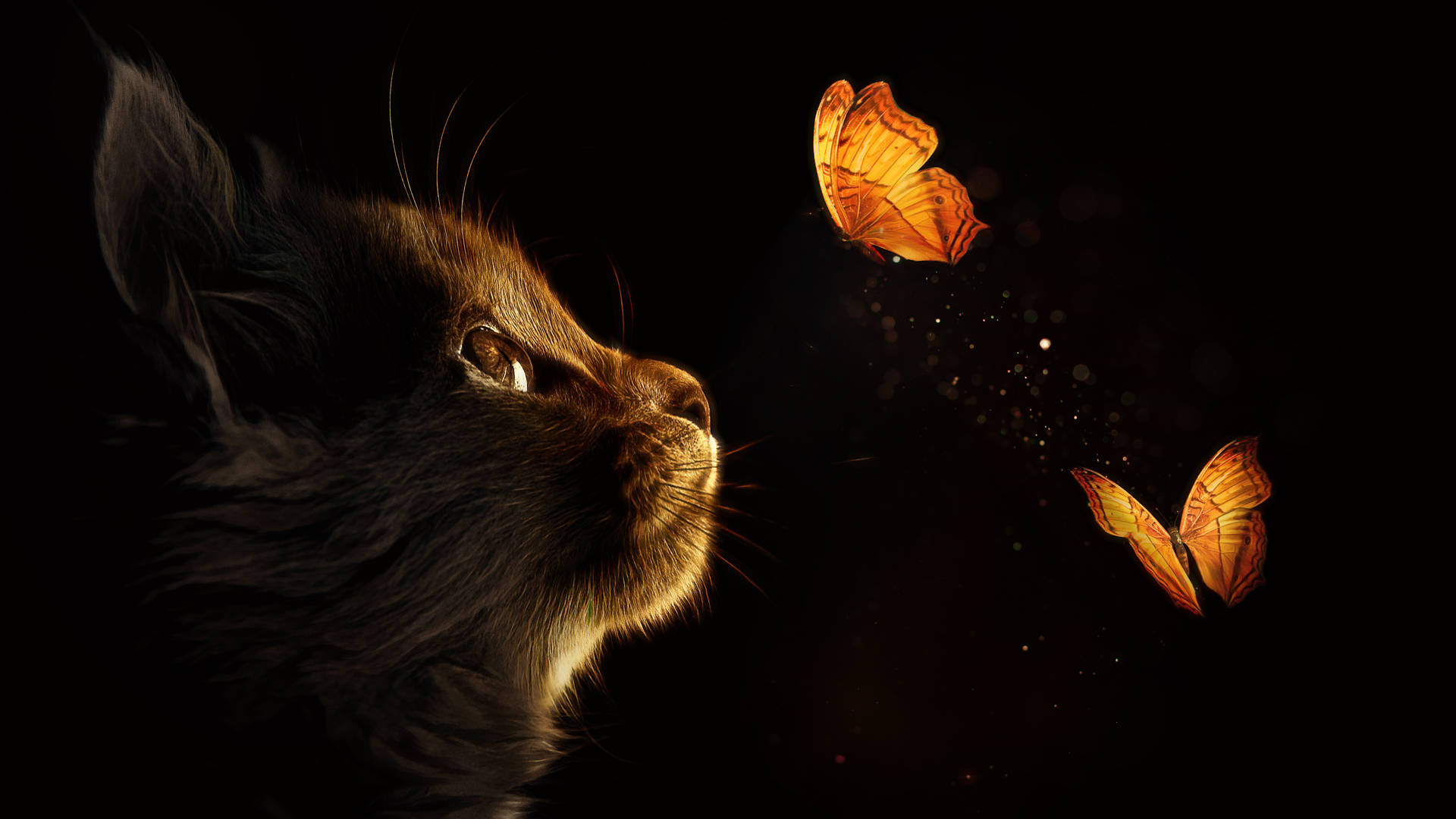 Caption: Mystical Black Art - Kitten Amidst Butterflies