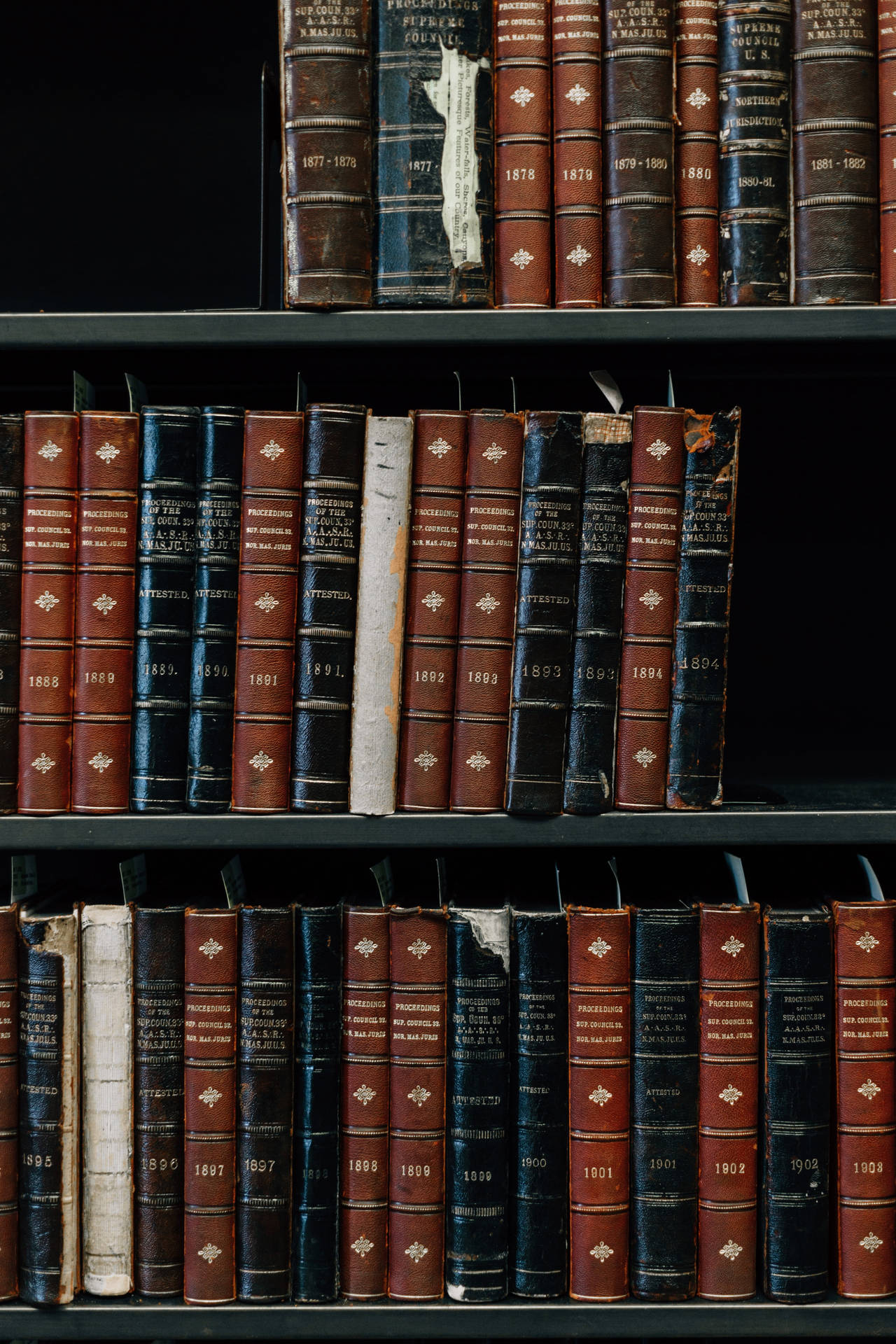 Caption: Organized Collection Of Books On Shelves Background