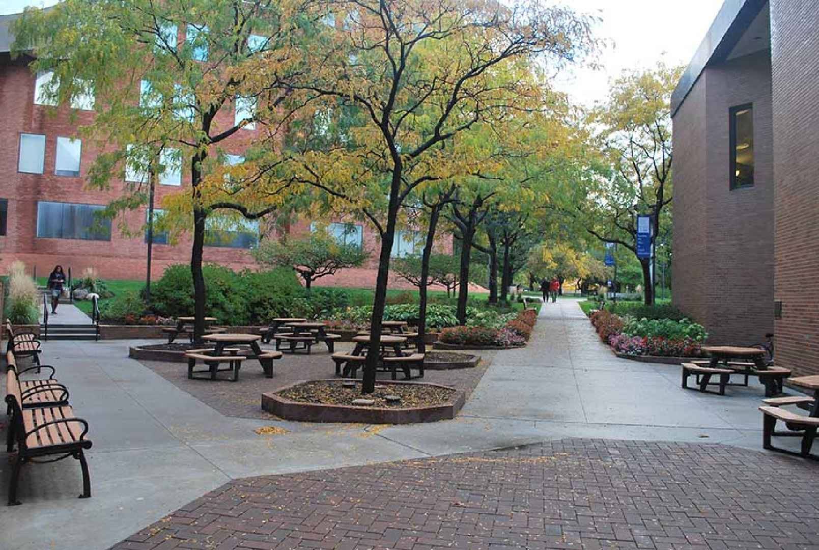 Caption: Outdoor Benches At Case Western Reserve University Background