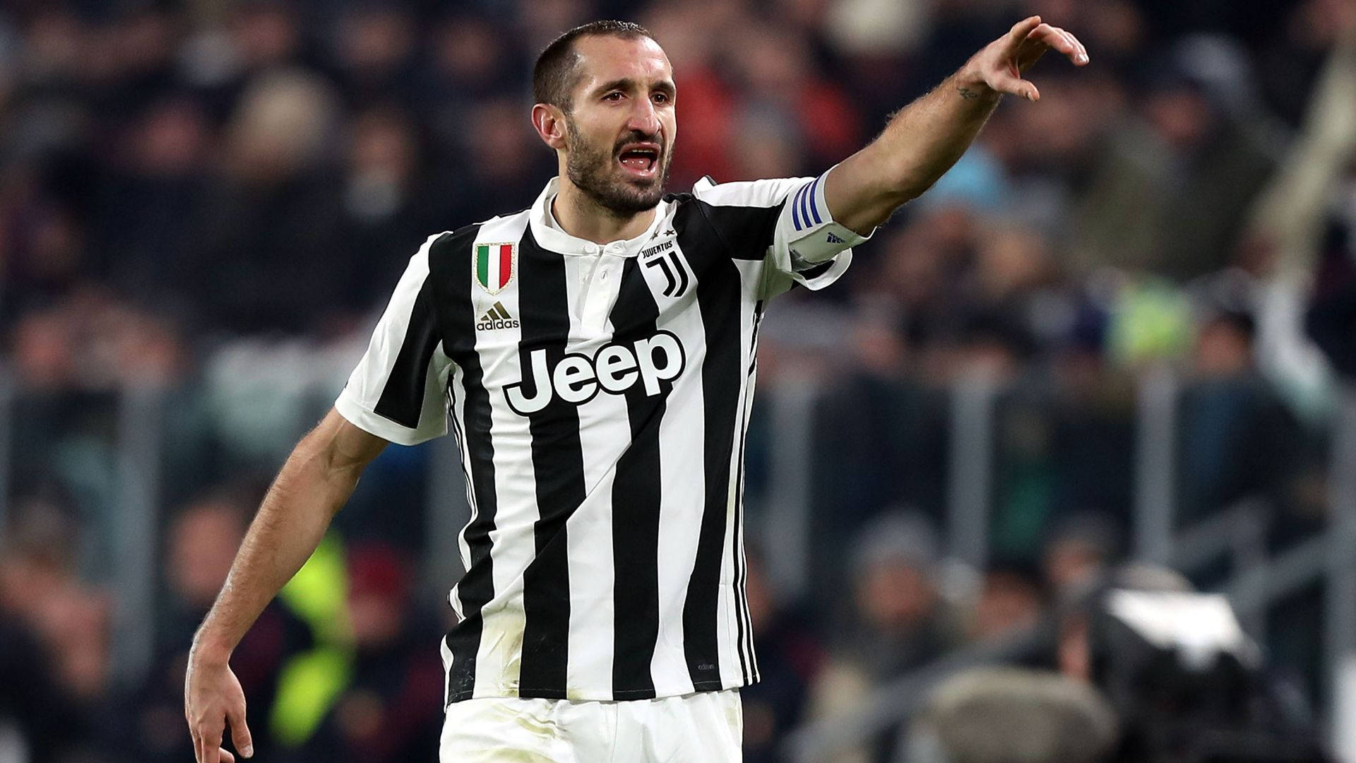 Caption: Passionate Moment Of Giorgio Chiellini On Pitch Background