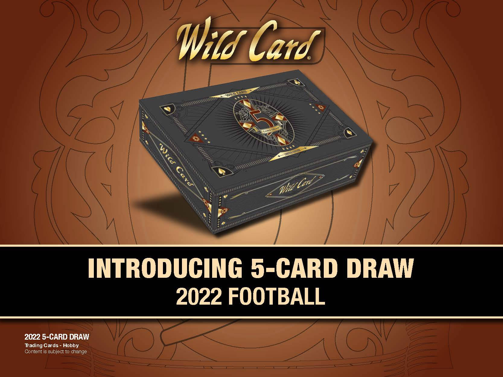 Caption: Player Enjoying A Five-card Draw Online Tutorial Background