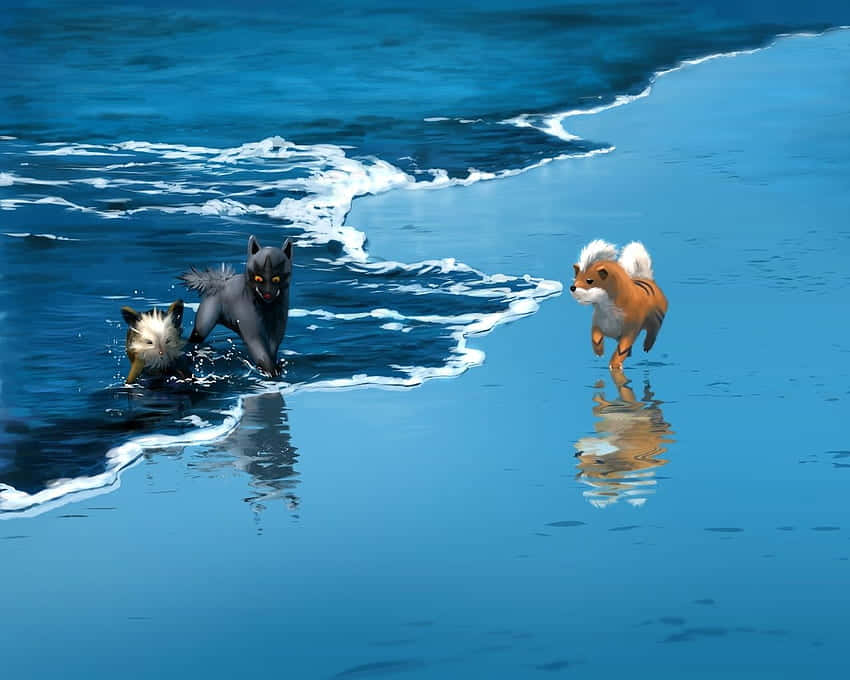 Caption: Poochyena Playfully Engaging At The Seashore Background