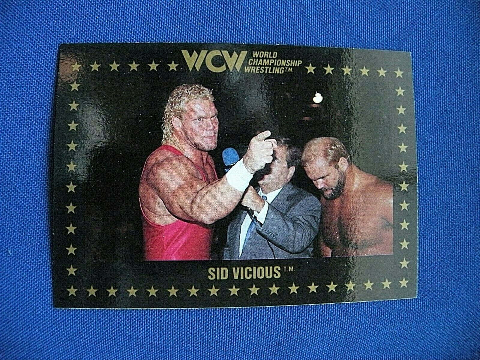 Caption: Powerful Wcw Wrestler Sid Vicious In Action Background