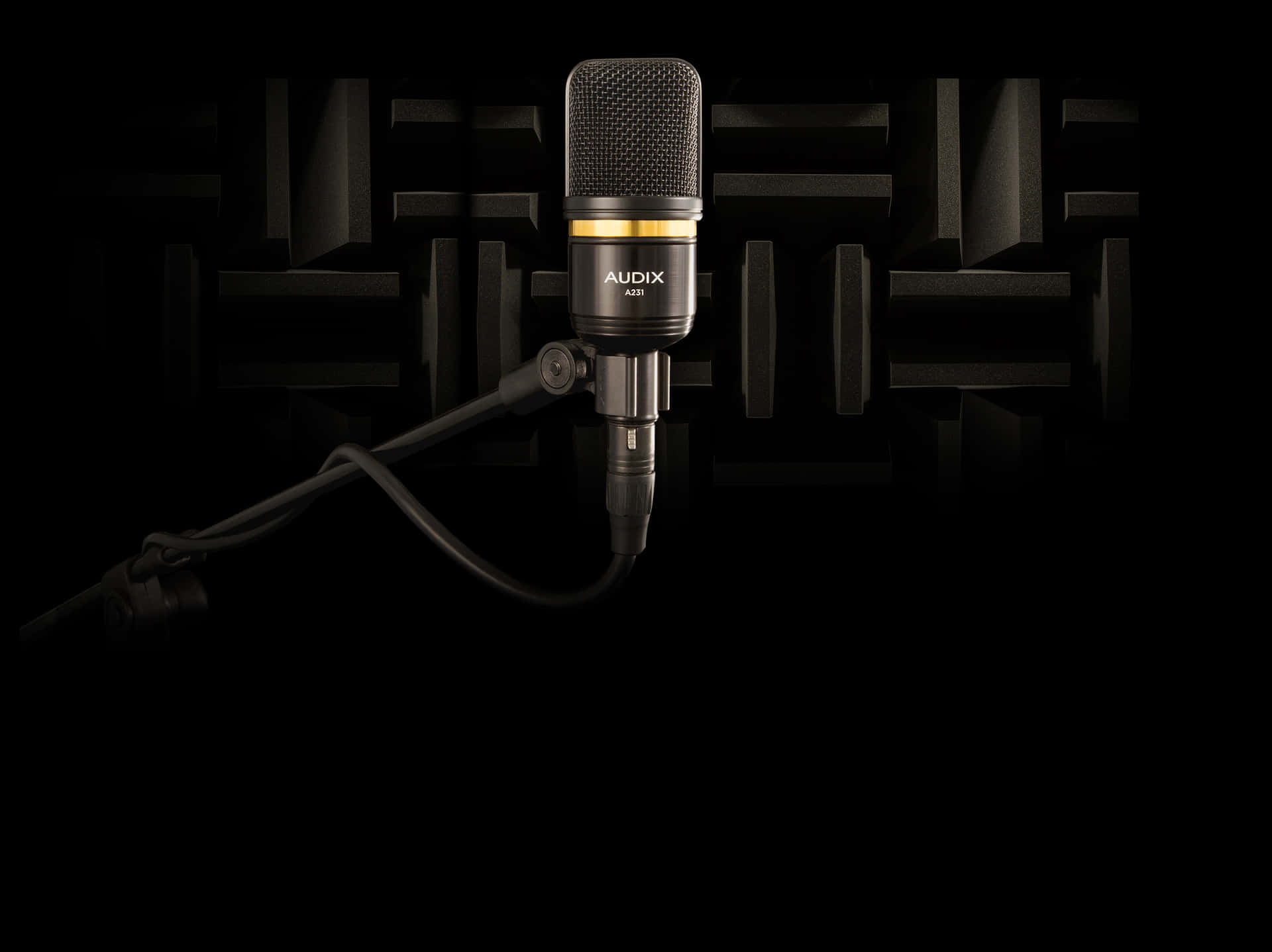 Caption: Premium Audix A231 Condenser Studio Microphone Background