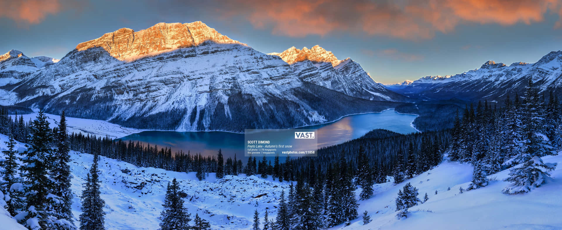 Caption: Pristine Beauty Of Peyto Lake Background