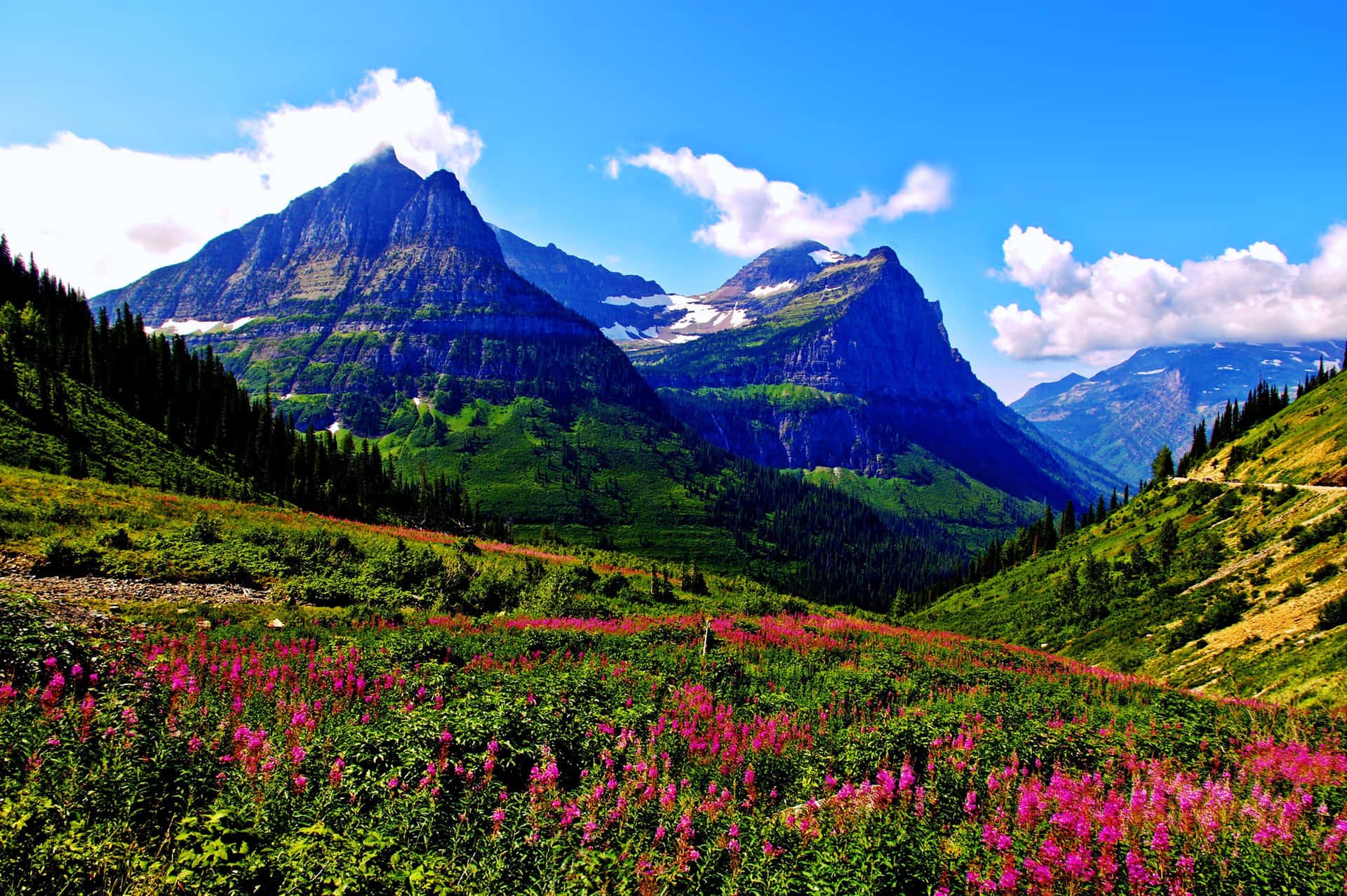 Caption: Pristine Valleys Of Glacier National Park Background