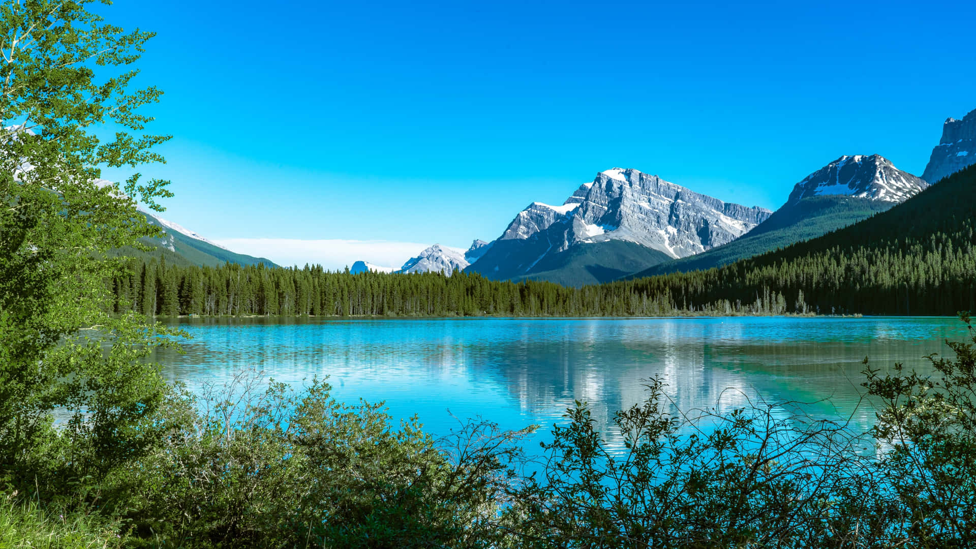 Caption: Pristine View Of Lake Bow Background