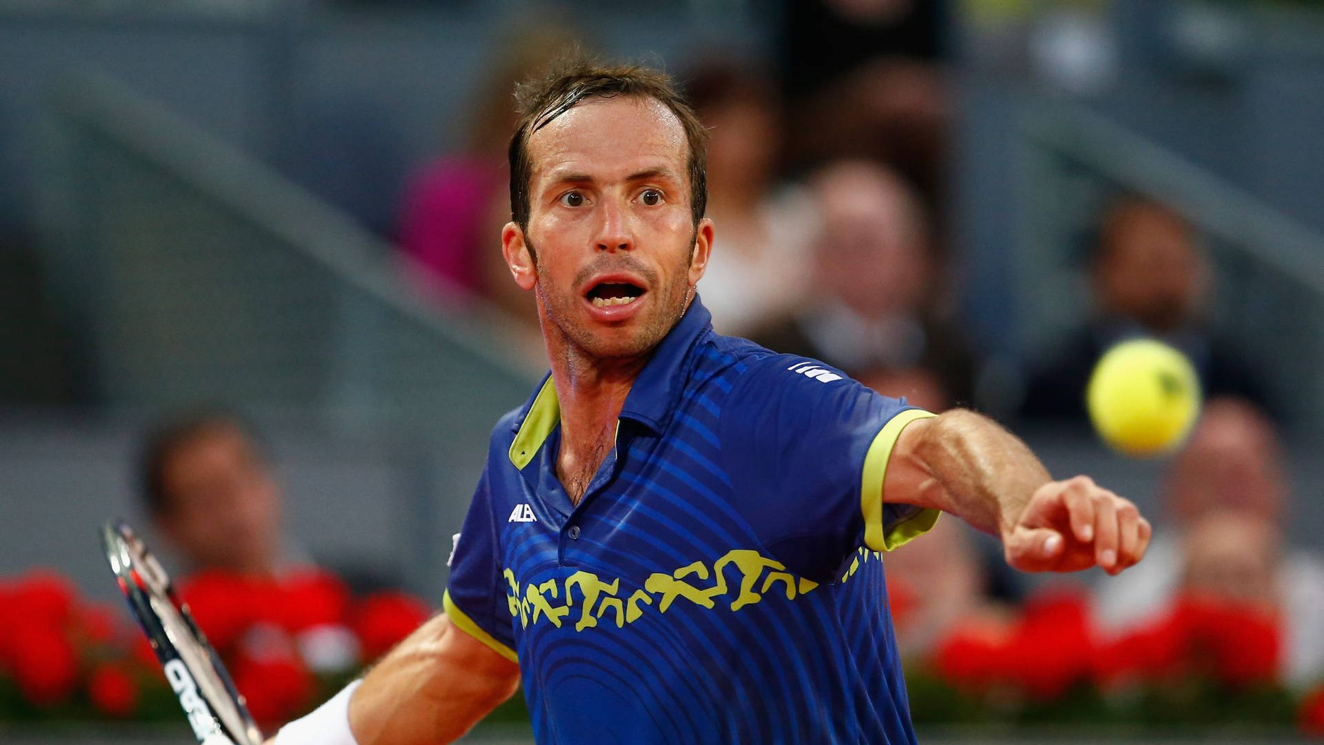 Caption: Pro Tennis Player Radek Stepanek Concentrating On Game Background