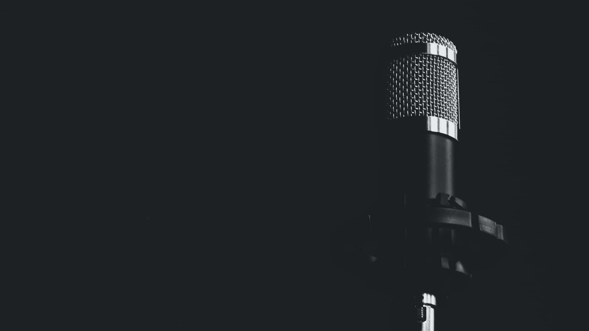 Caption: Professional Condenser Microphone In Monochrome Tones