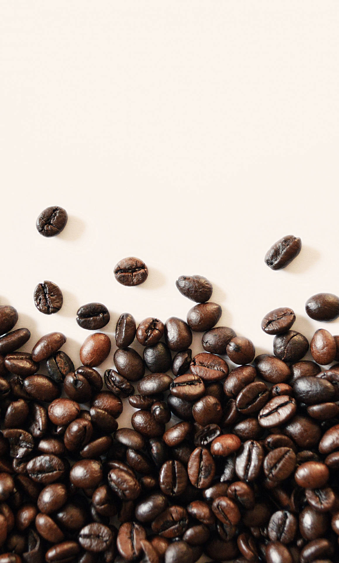 Caption: Quality Dark Roasted Coffee Beans Background