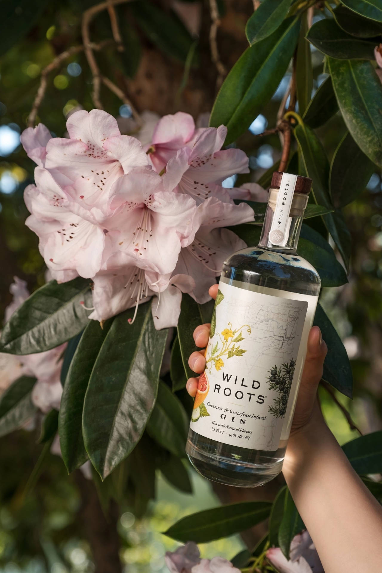 Caption: Refresh Your Spirit With Wild Roots Cucumber And Grapefruit Gin