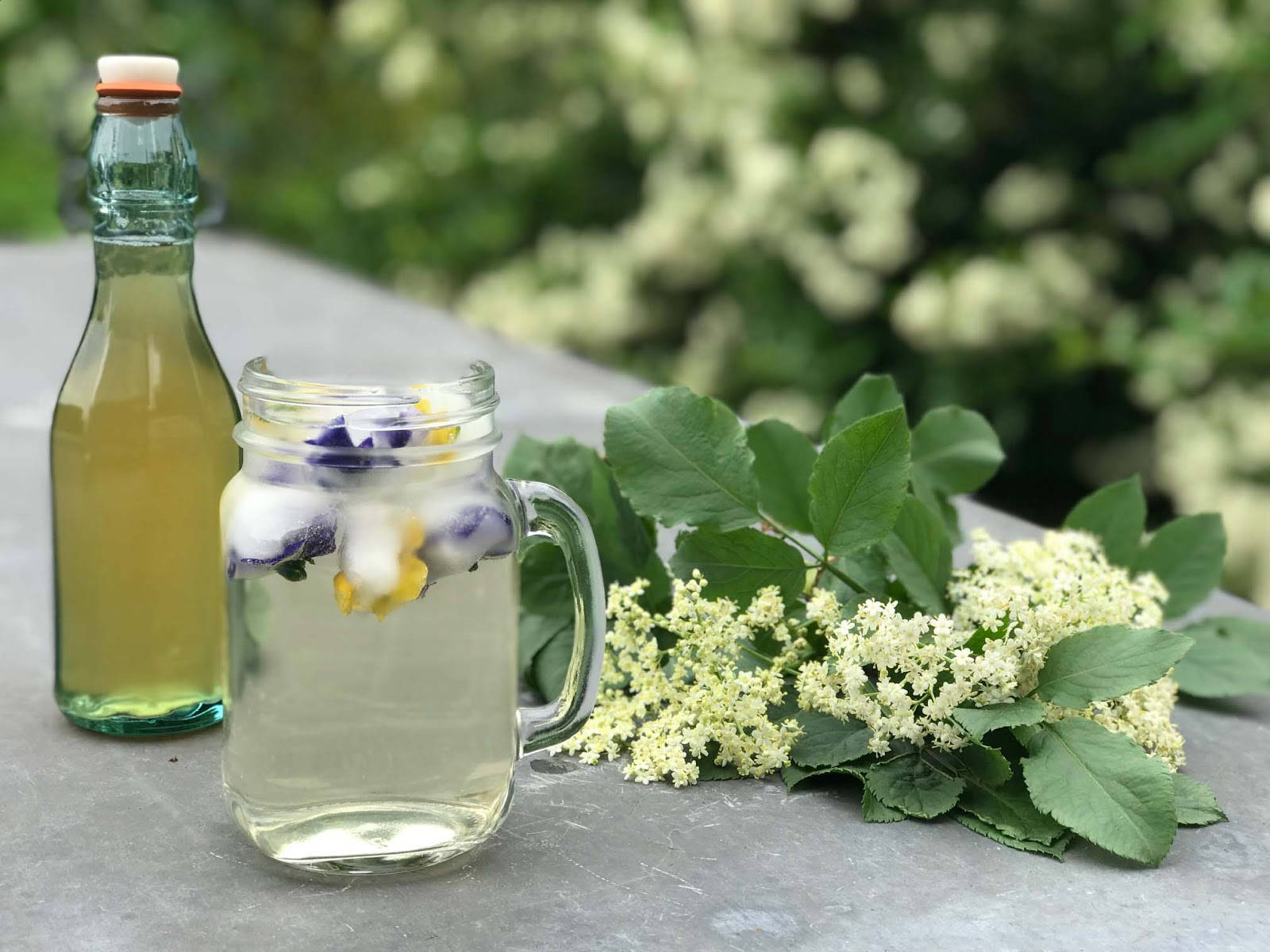 Caption: Refreshing Elderflower Cordial In Glass Bottle