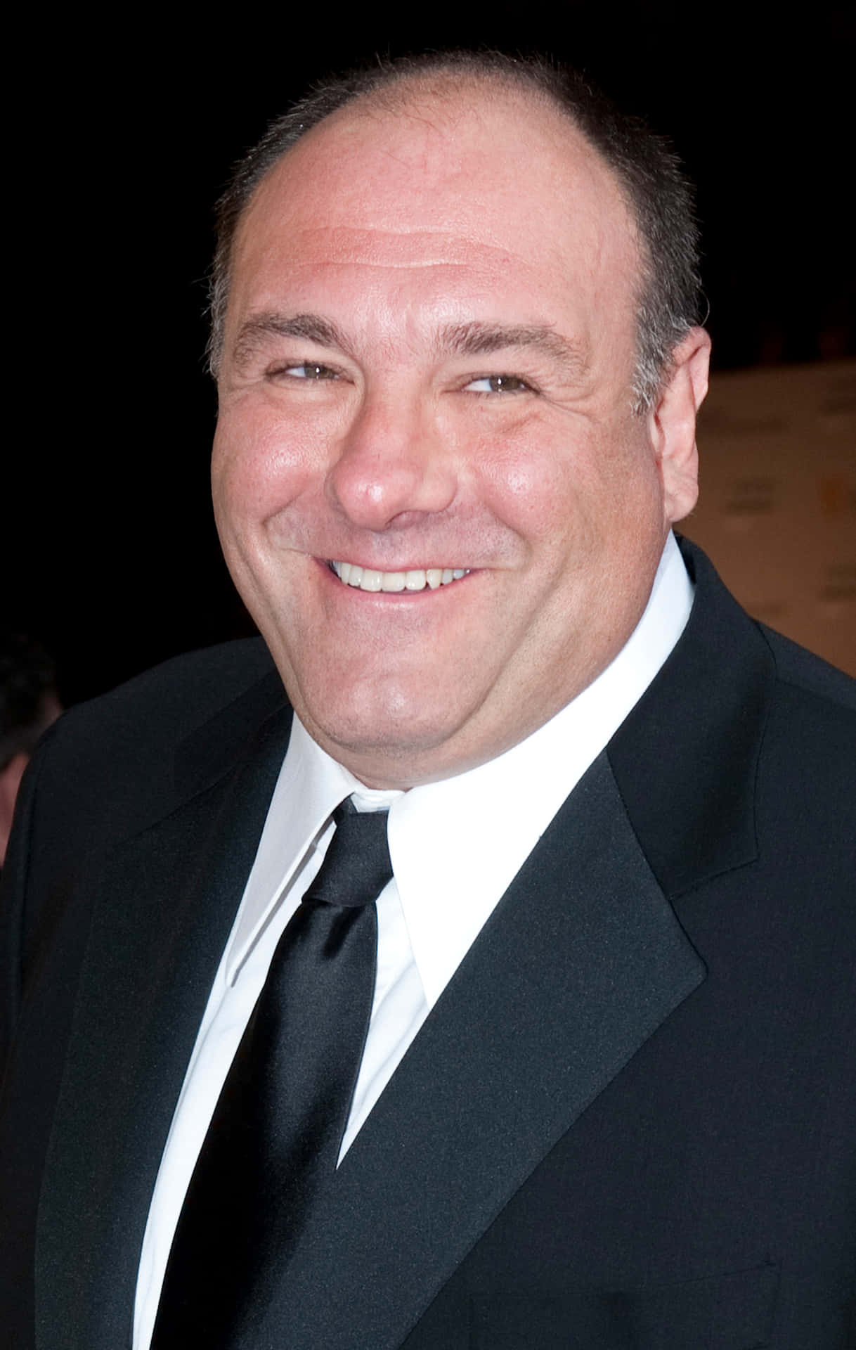 Caption: Renowned Actor James Gandolfini Posing Background
