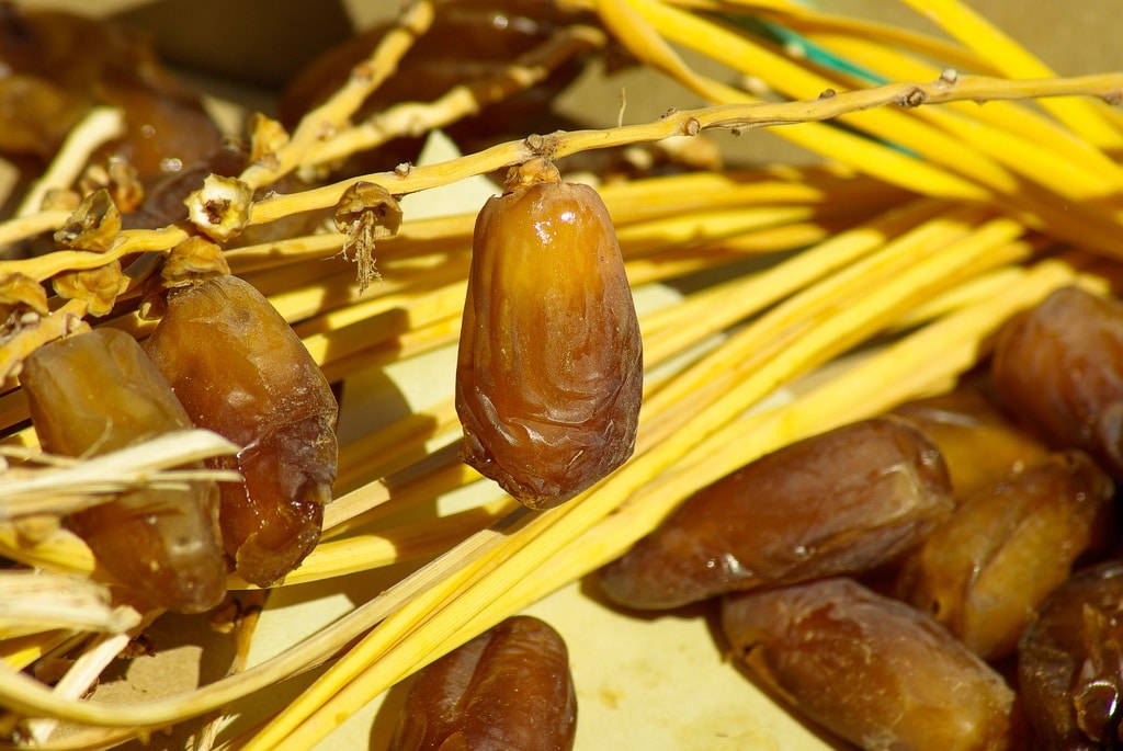 Caption: Ripened Dates On Tree Branches Background