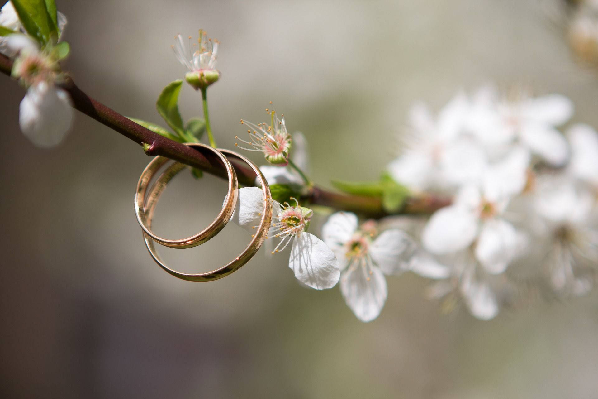 Caption: Romantic White Blossom Wedding Rings