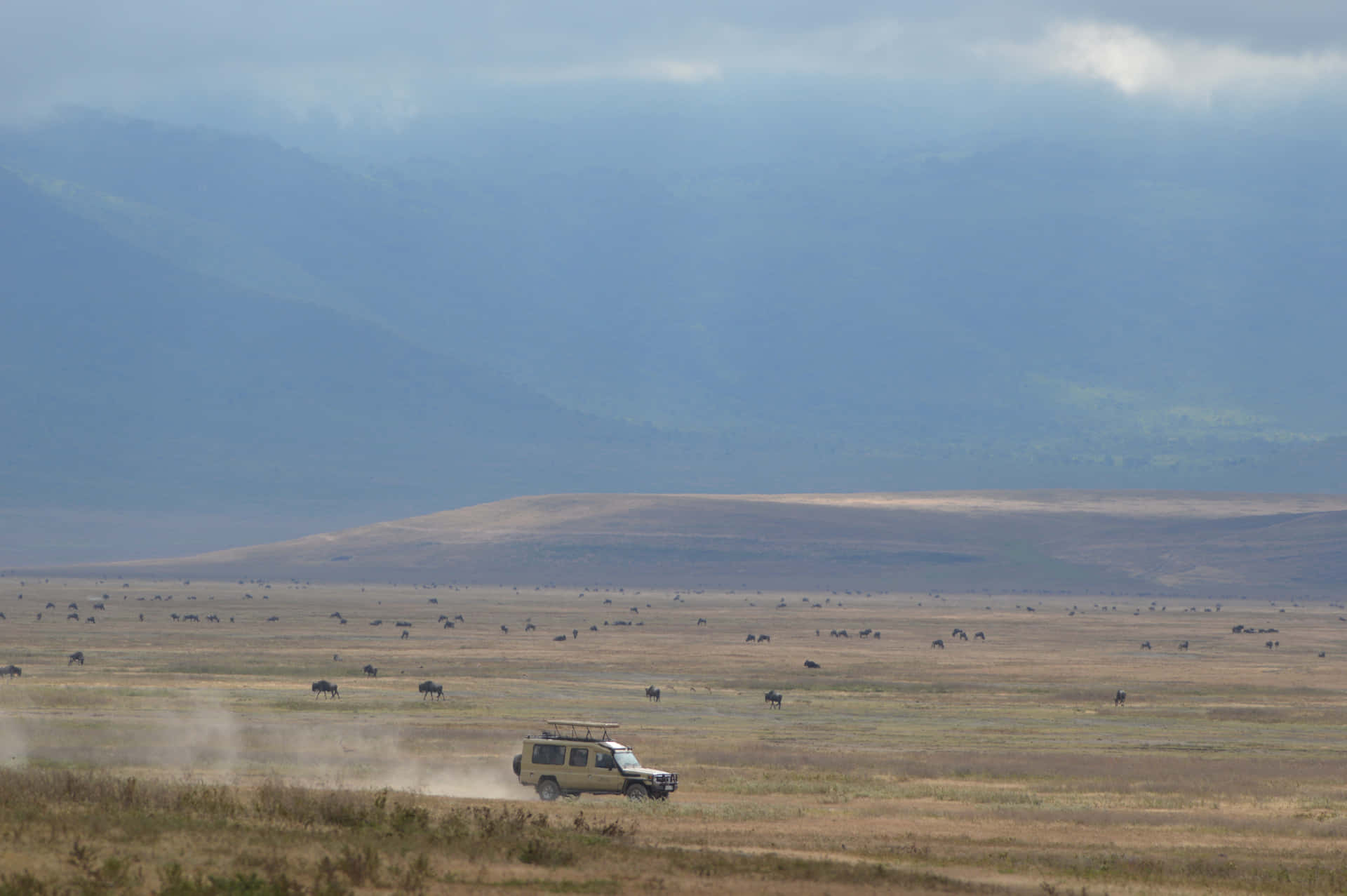 Caption: Safari Adventure In Ngorongoro Crater Background