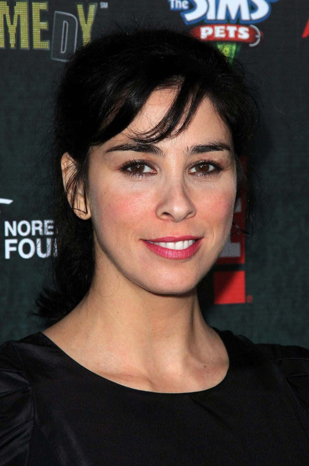 Caption: Sarah Silverman At A Red Carpet Event Background