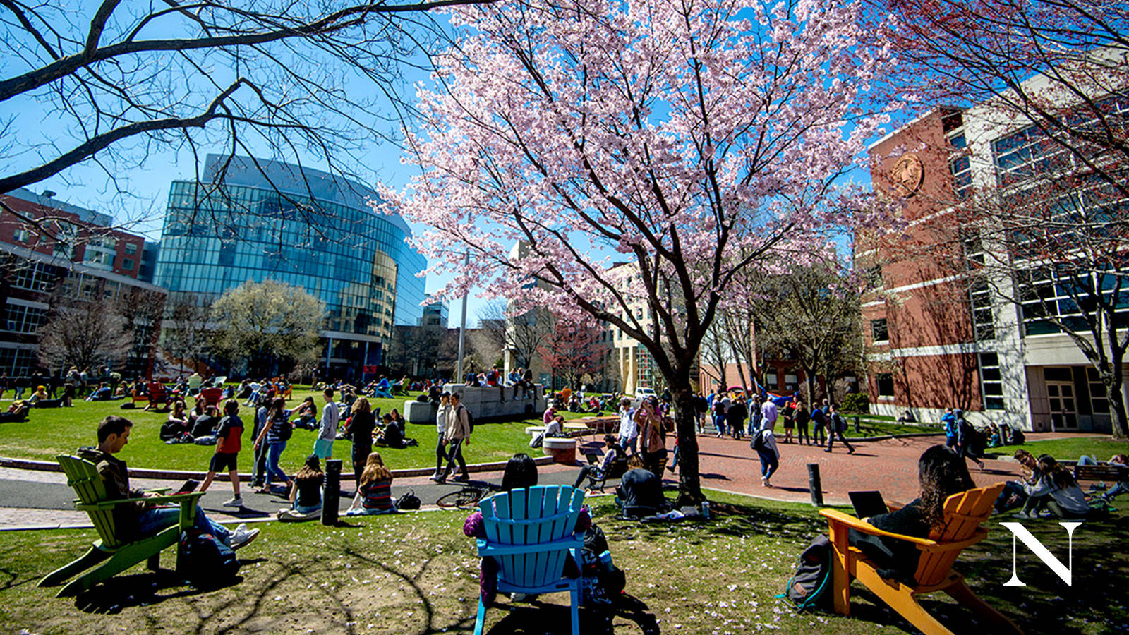 Caption: Scenic View Of Northeastern University Park Background