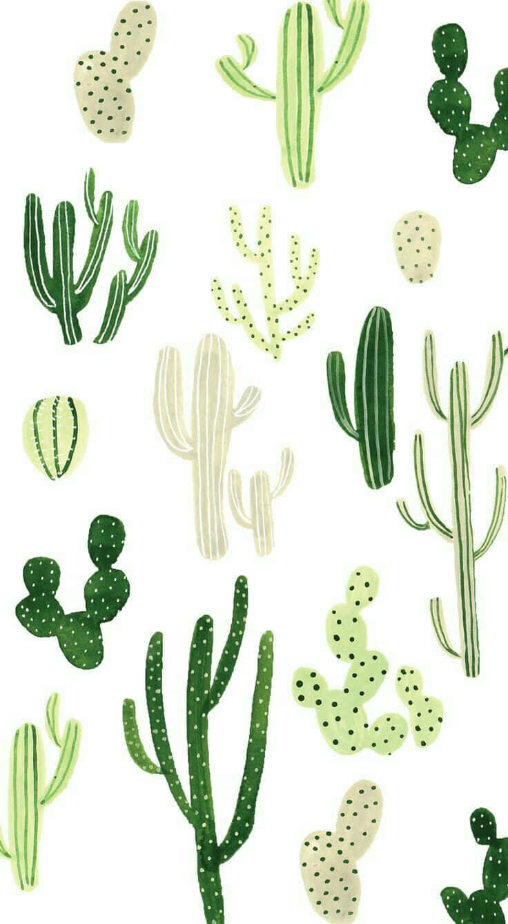 Caption: Serene Desert Beauty: Majestic Aesthetic Cactus Background