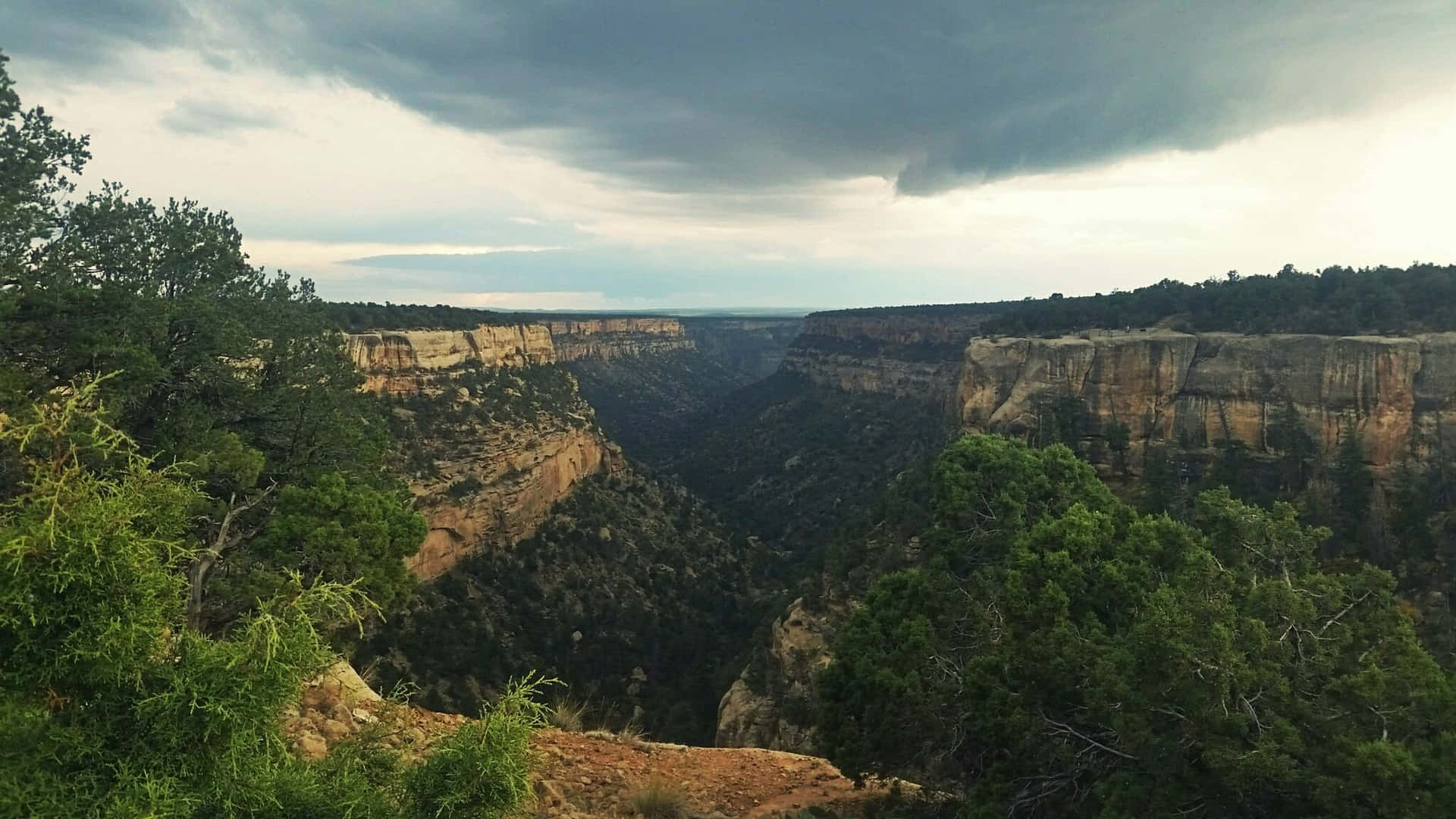 Caption: Spectacular View Of Mesa Verde National Park Gorge Background