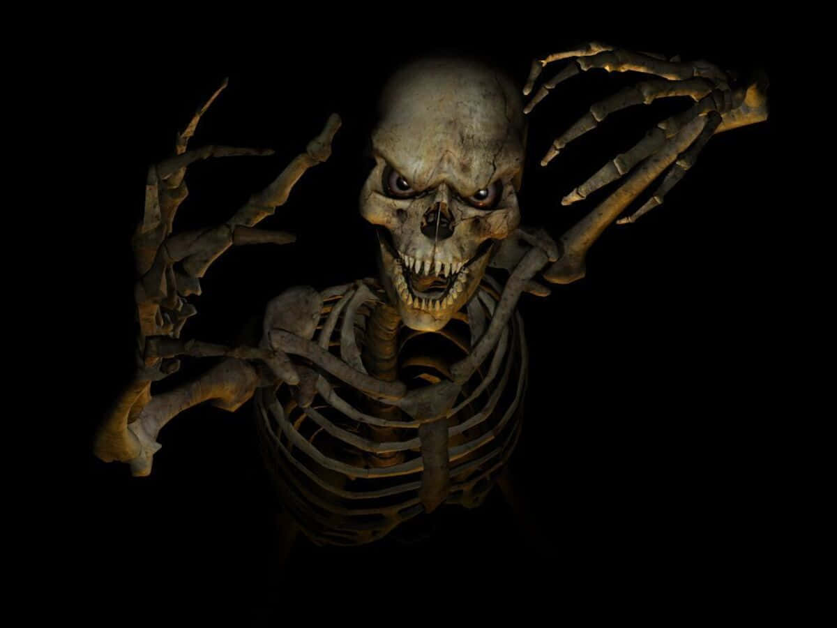 Caption: Spooky Halloween Skeleton In The Glowing Moonlight Background