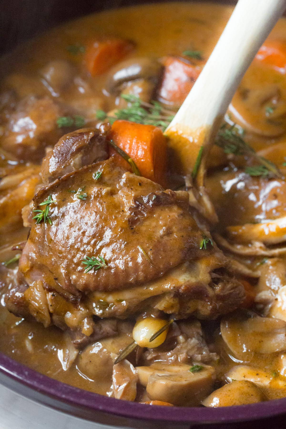 Caption: Spoonful Of Delicious Coq Au Vin