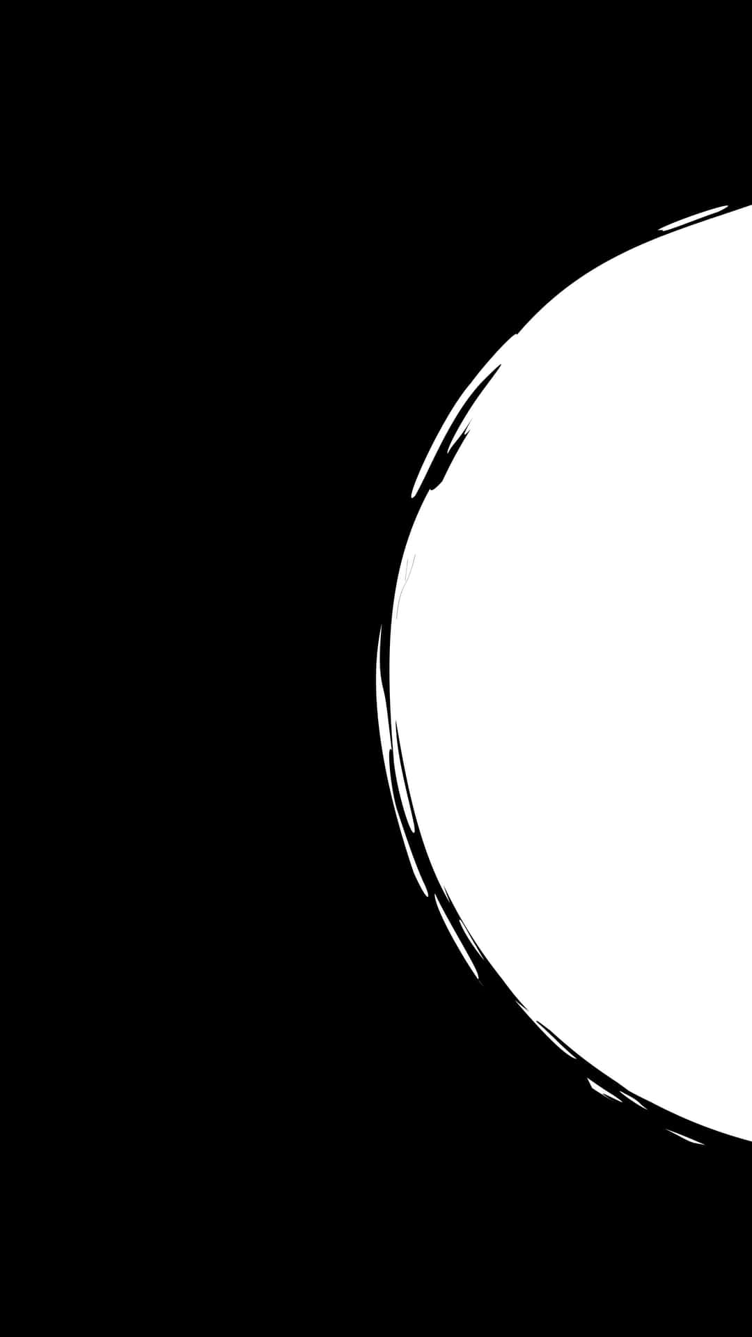 Caption: Striking Contrast Of Half Black And Half White Background