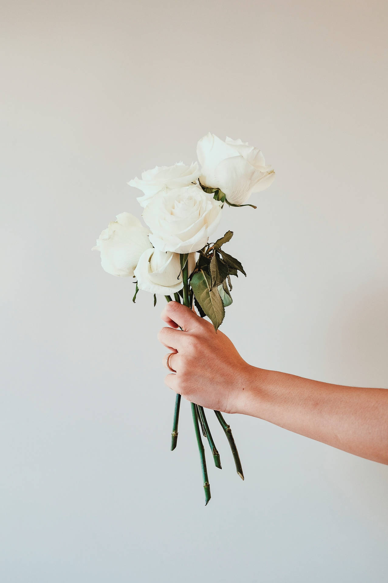 Caption: Striking White Rose Bouquet Background