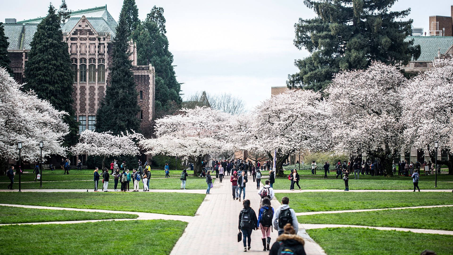 Caption: Students Navigating The University Of Washington Campus Background