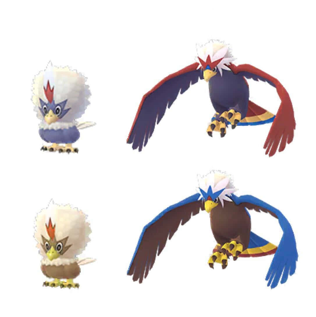 Caption: Stunning Illustration Of Rufflet In Its Shiny Form And Evolved Form, Braviary Background