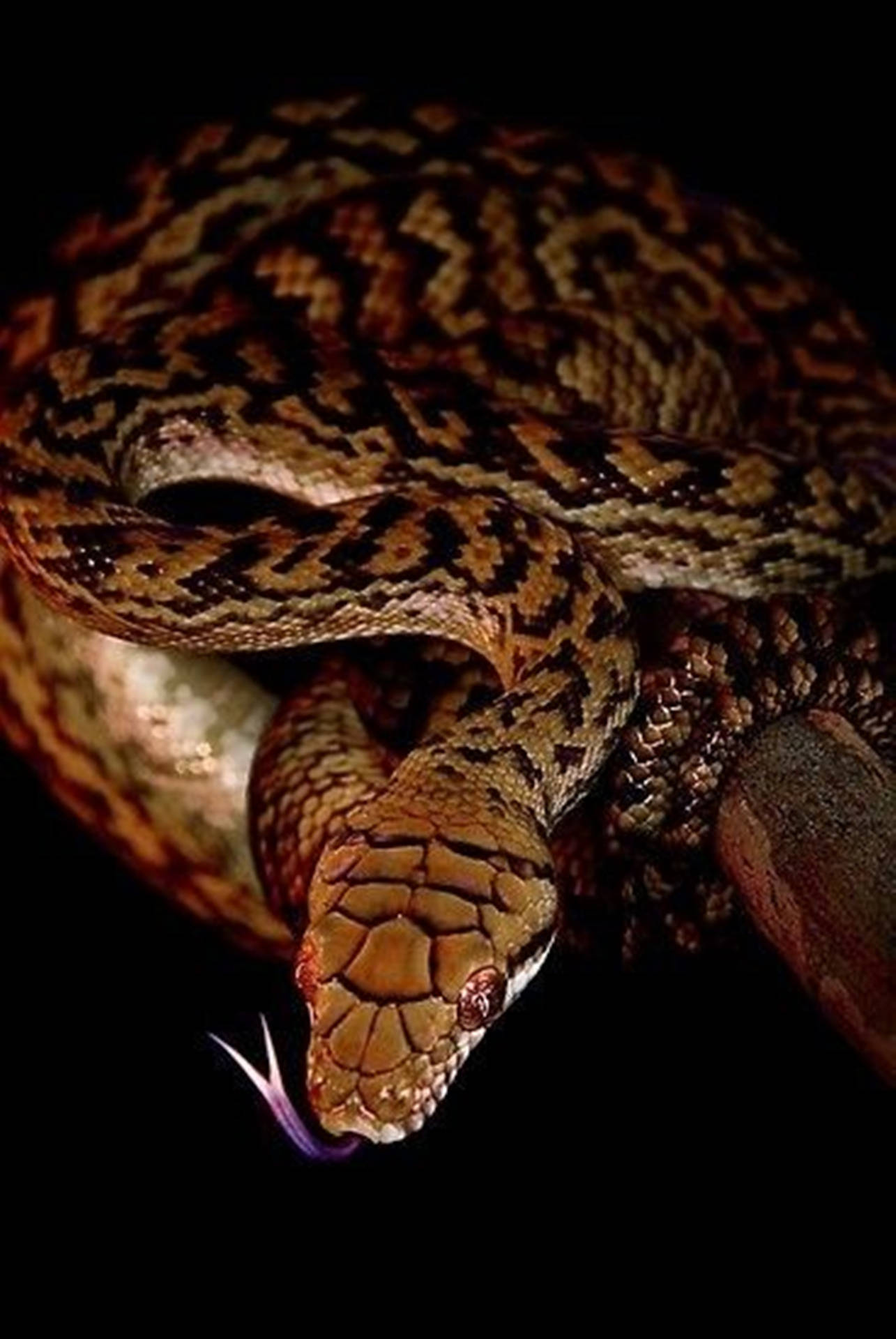 Caption: Stunning Water Moccasin Exhibiting A Purple Tongue Background