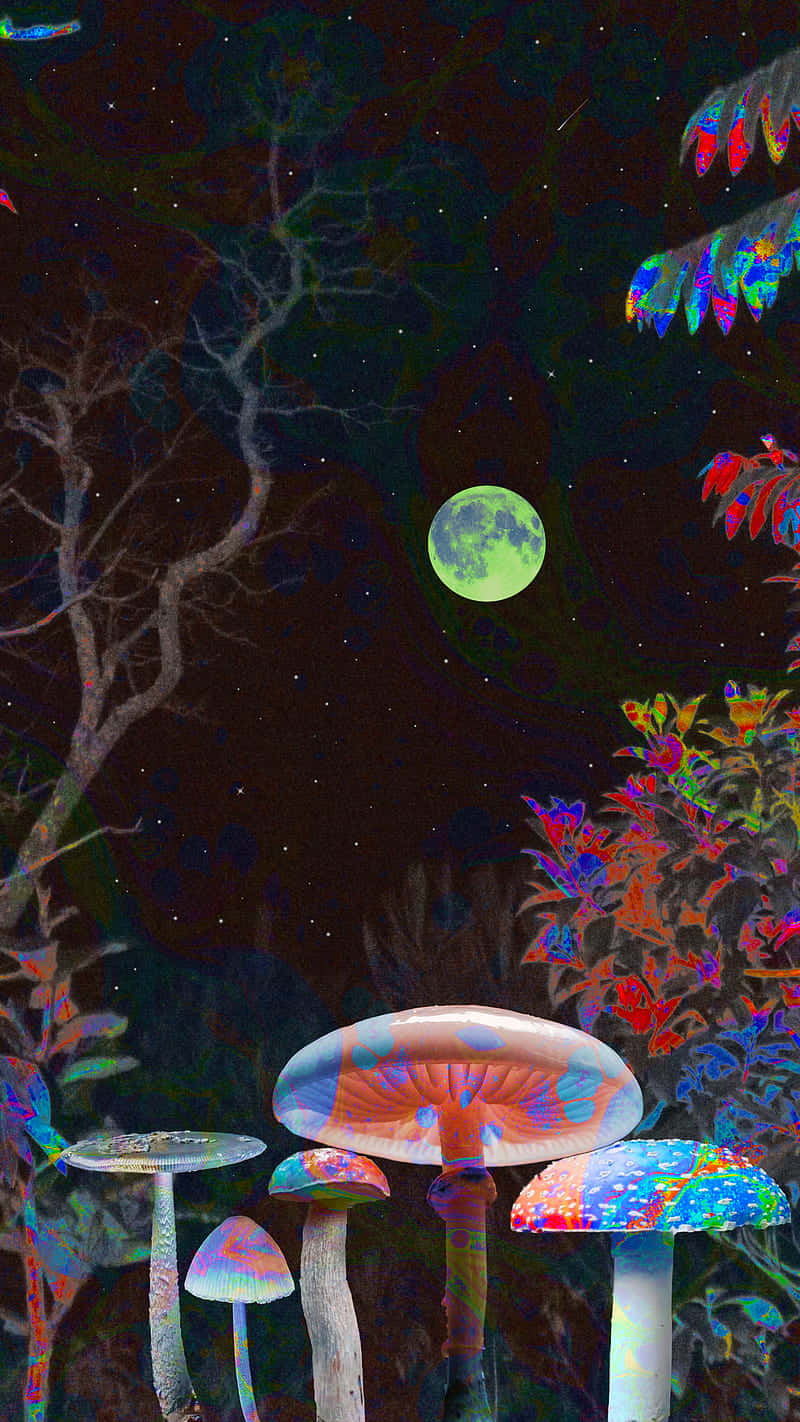 Caption: The Enchanting World Of Trippy Mushrooms Background