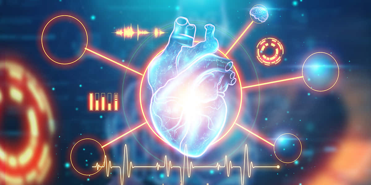 Caption: The Essence Of Life - A Vital Heart In Motion