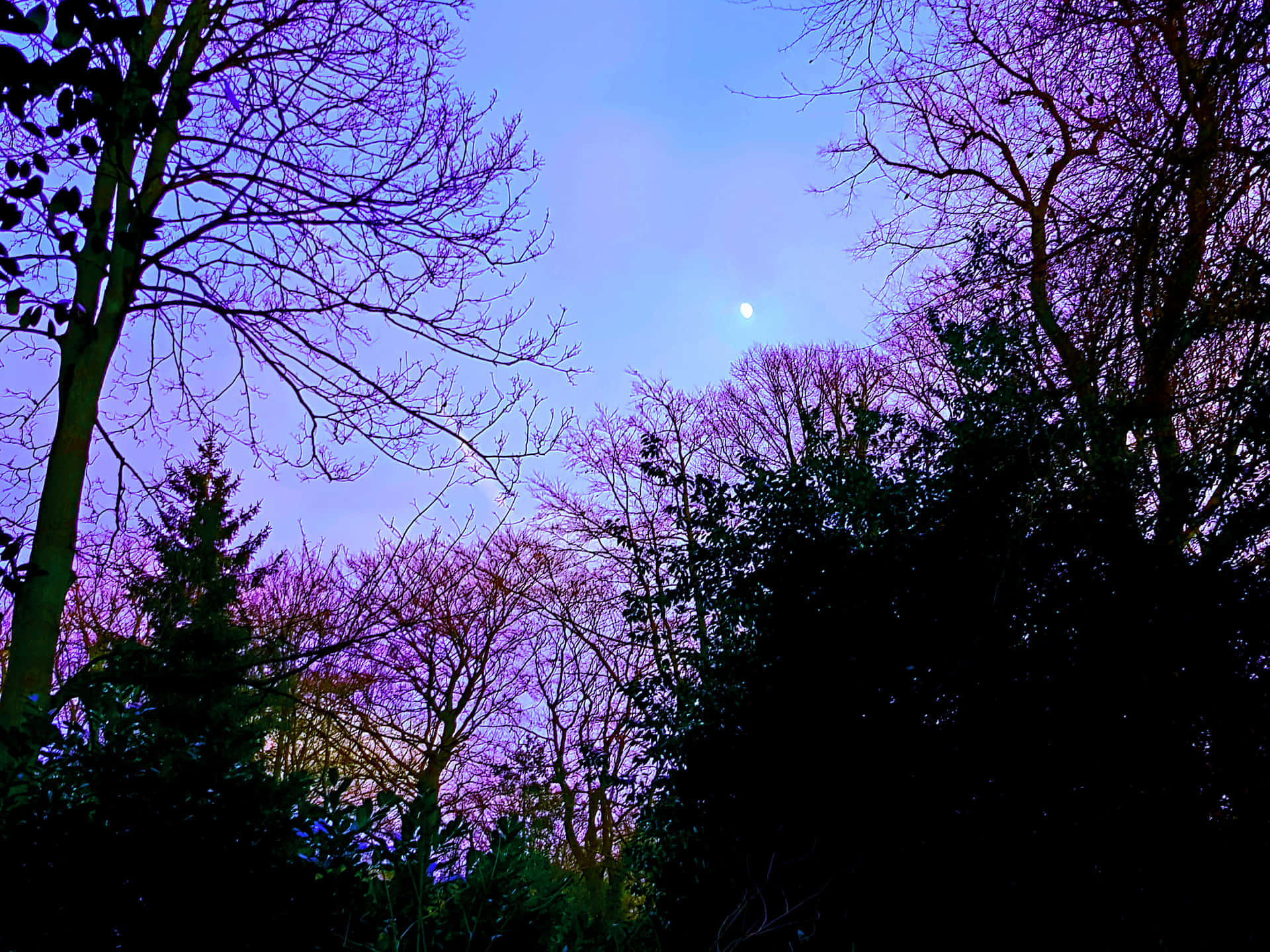 Caption: The Serenity Of The Clear Blue Sky Background