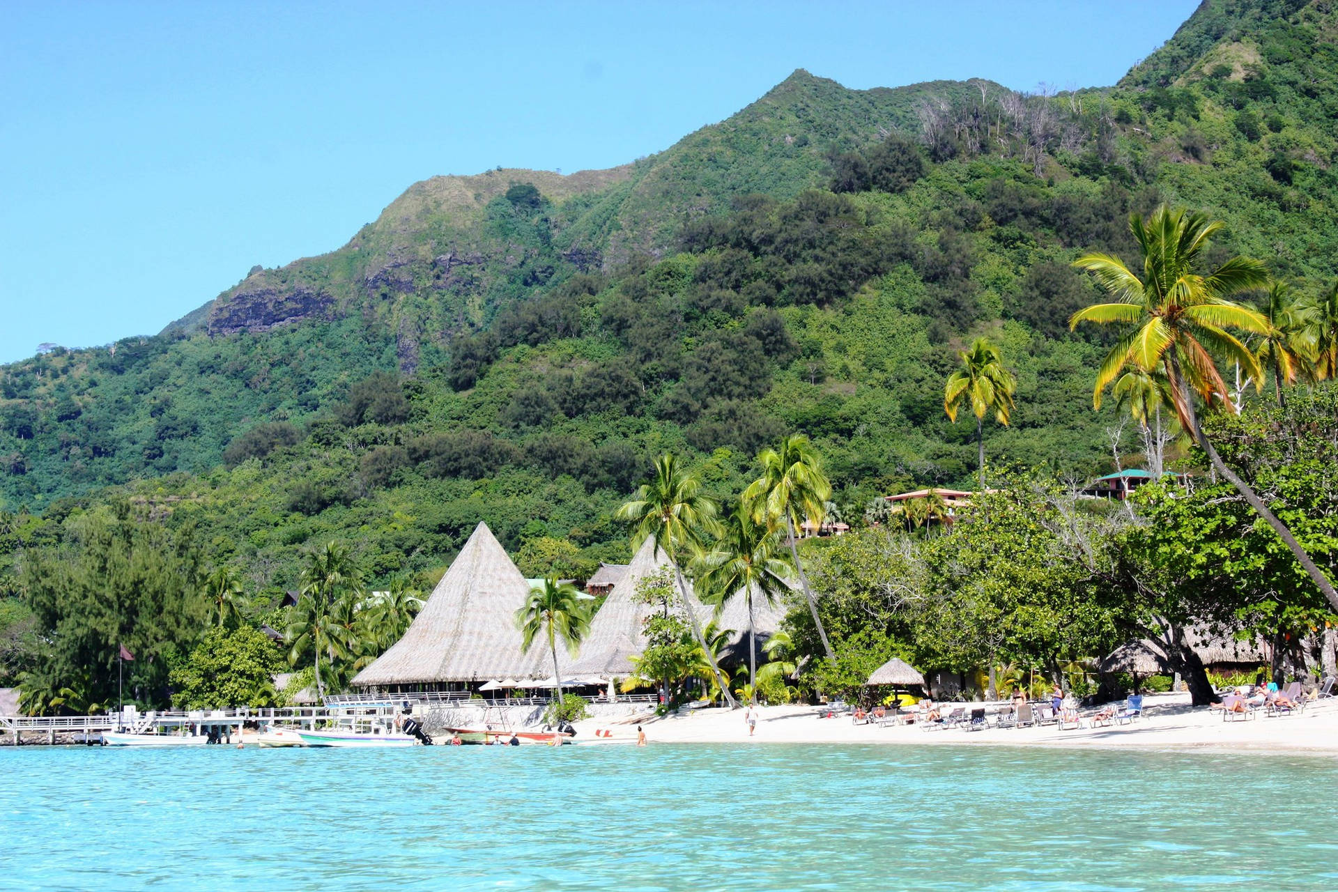 Caption: Traditional Cone Roof Buildings In Micronesia Background