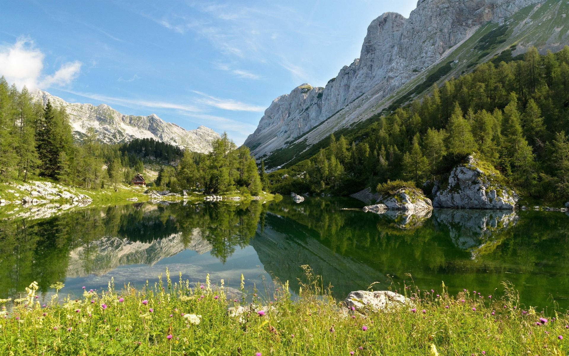 Caption: Tranquil Scenic Beauty Of Slovenia Background