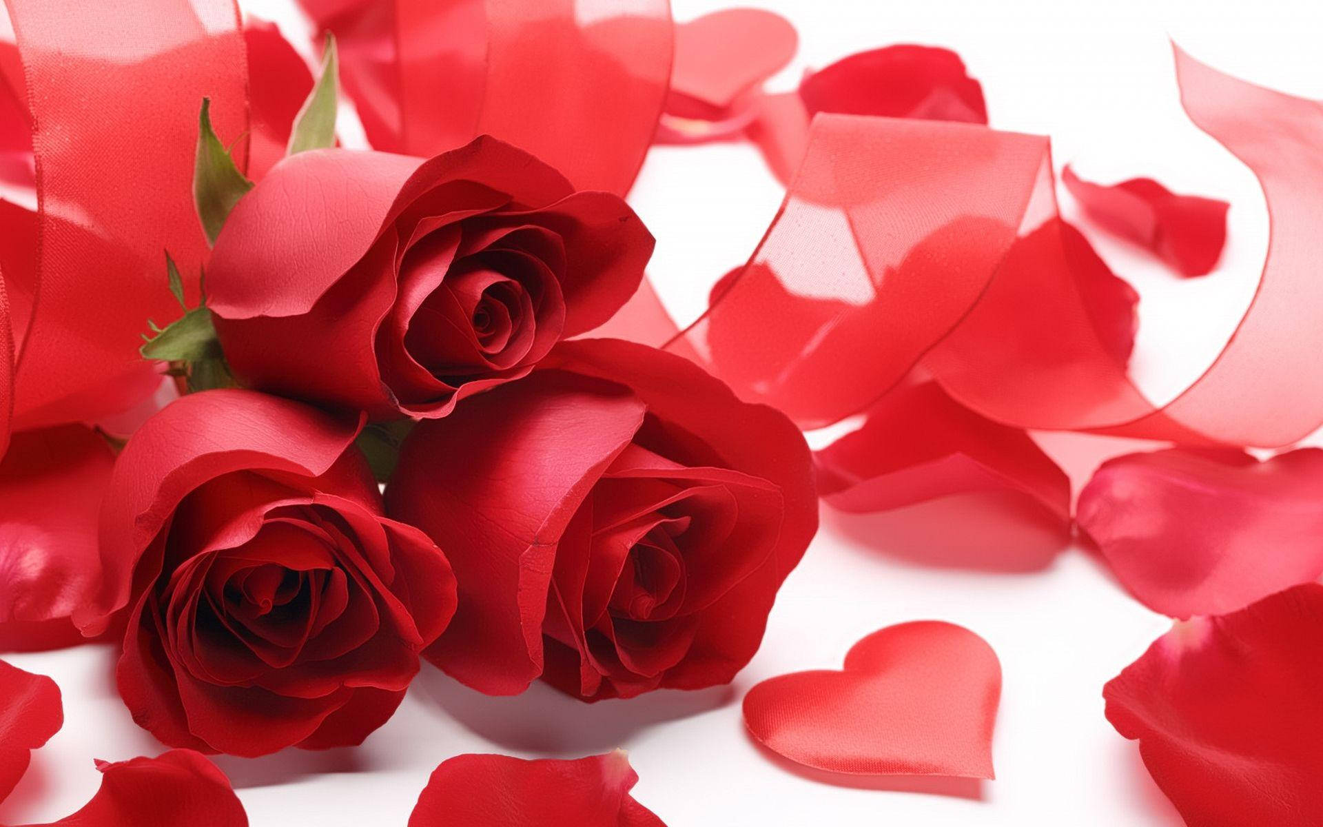 Caption: Trio Of Love - Elegant Red Roses Seeking Affection Background