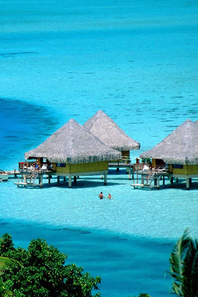 Caption: Tropical Paradise - Breathtaking View Of Bora Bora Background