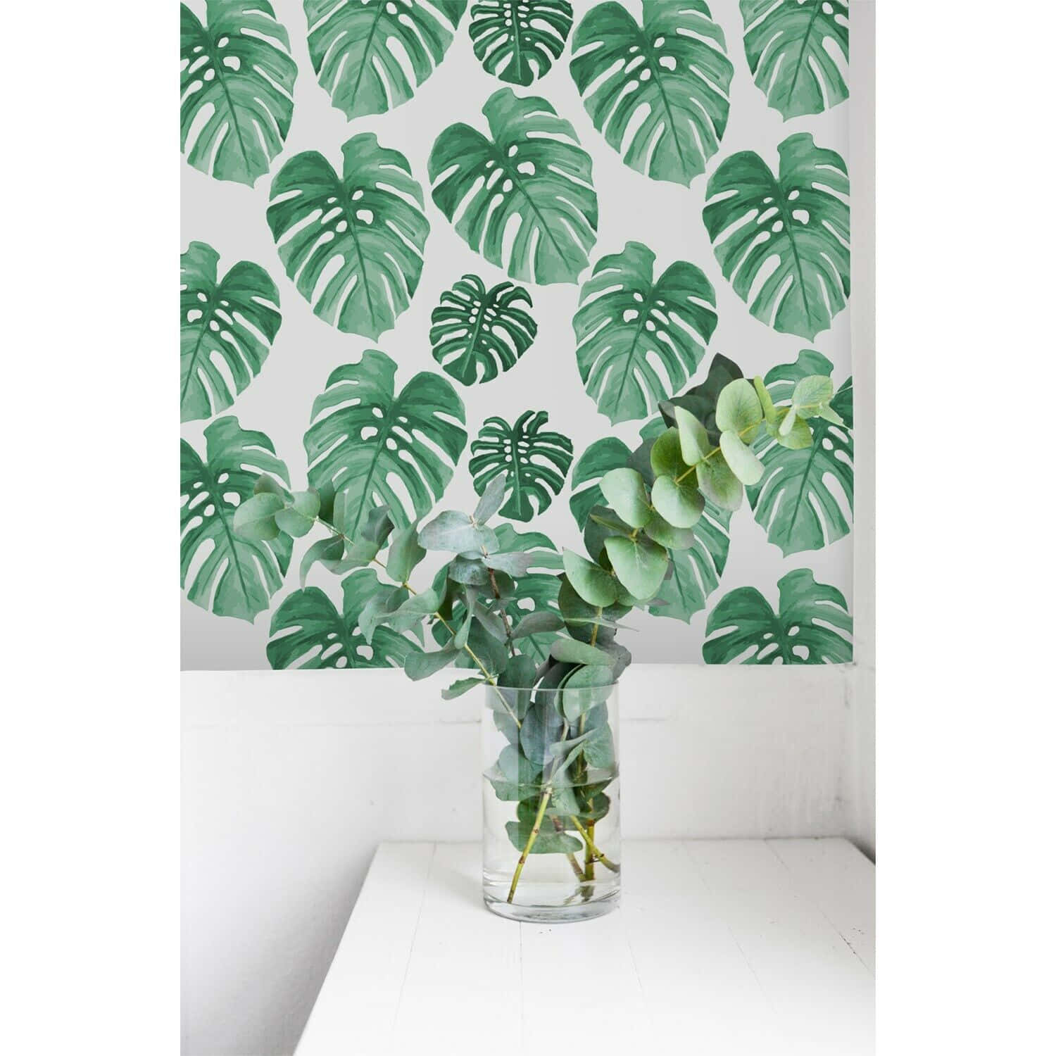 Caption: Underneath The Majestic Monstera: Embracing The Lush Leaf Patterns Background