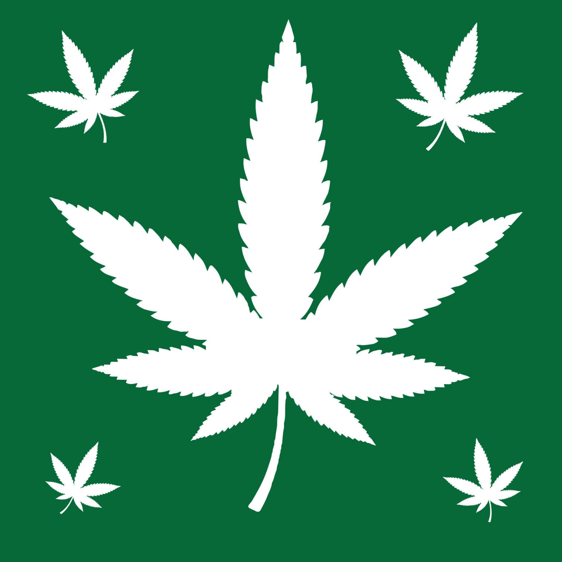 Caption: Unique White Marijuana Leaf Amidst Emerald Greenery Background