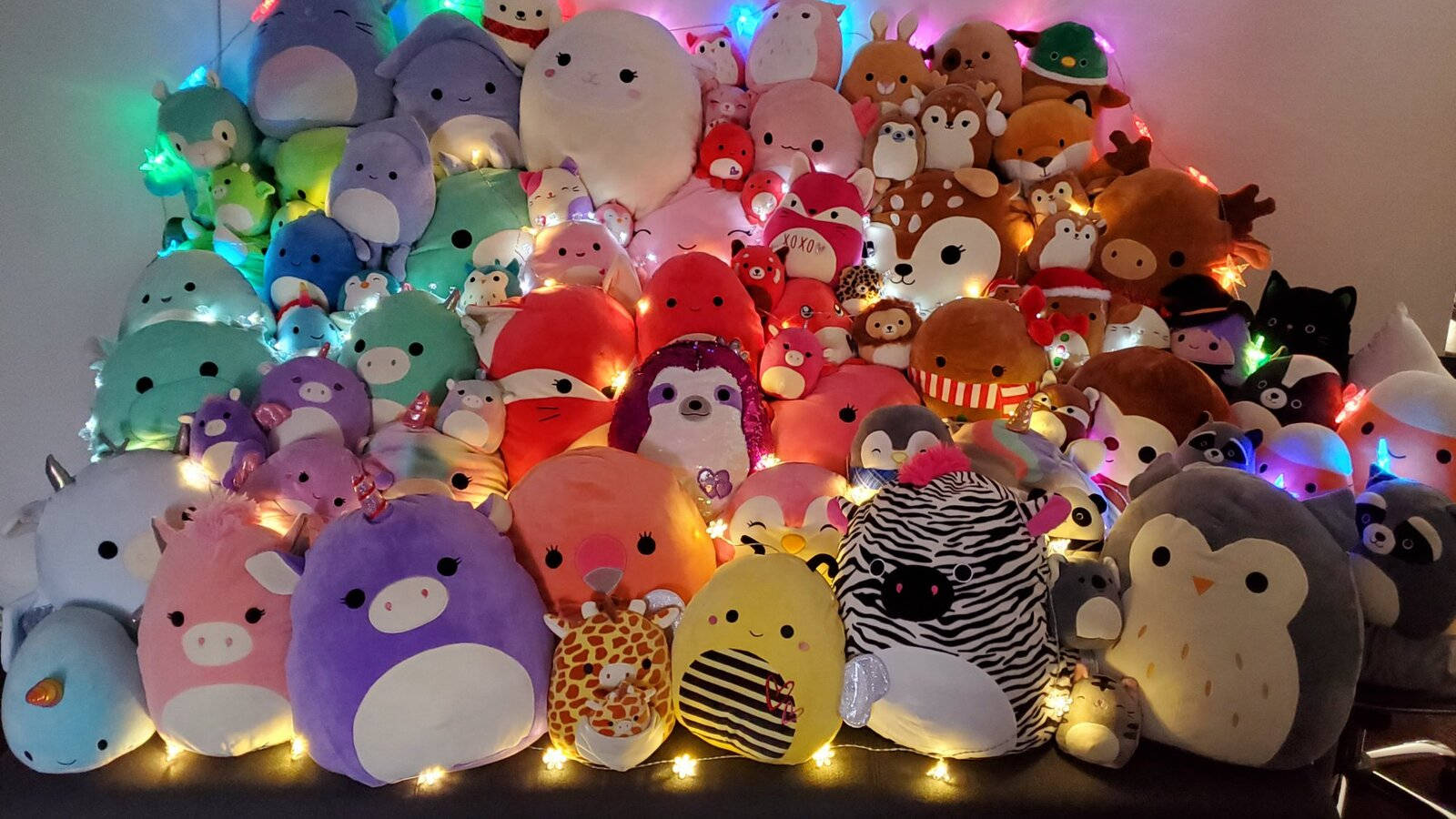 Caption: Vibrant Collection Of Playful Squishmallows Background
