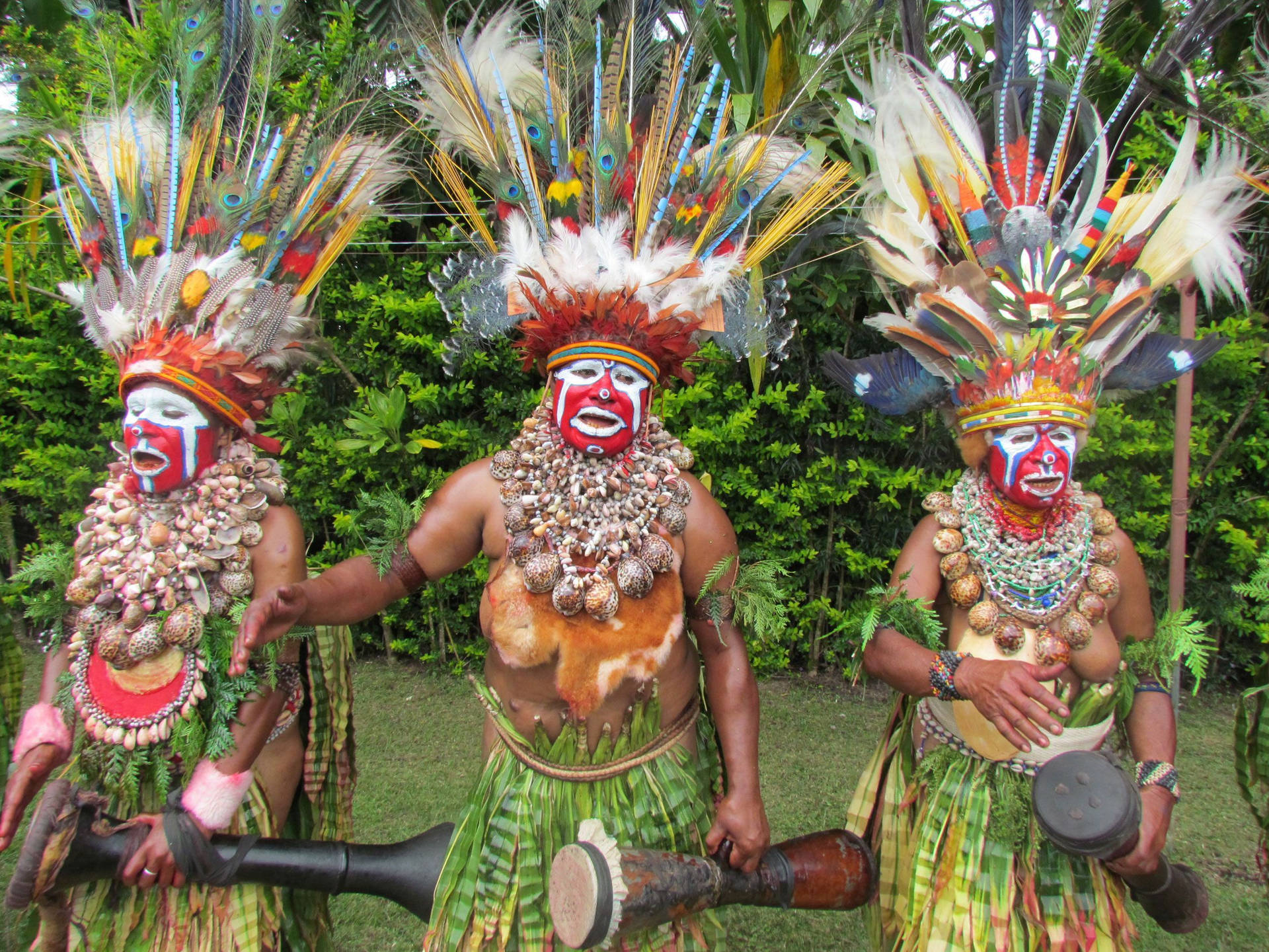 Caption: Vibrant Culture Of Papua New Guinea Natives