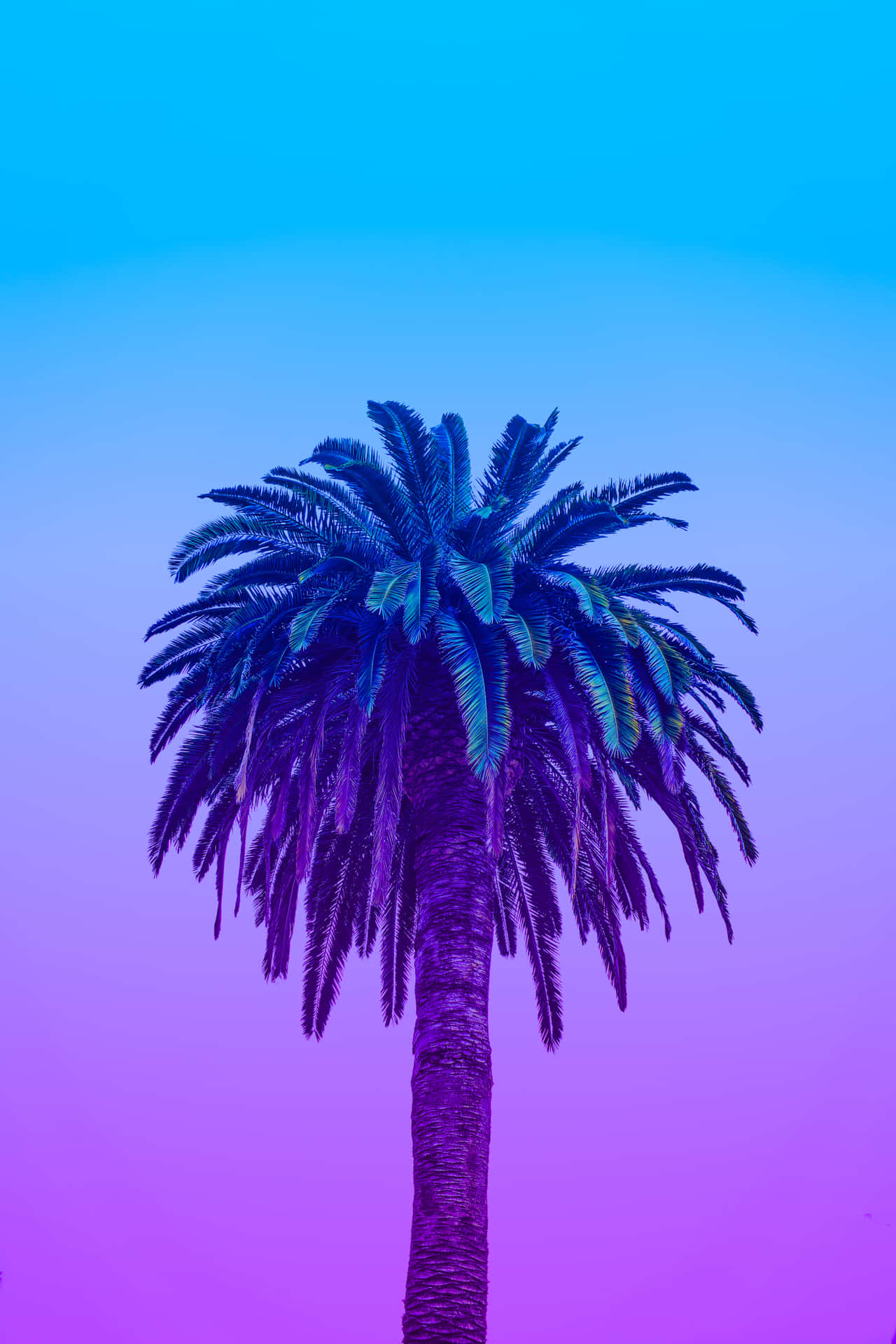Caption: Vibrant Filtered Tree Scene
