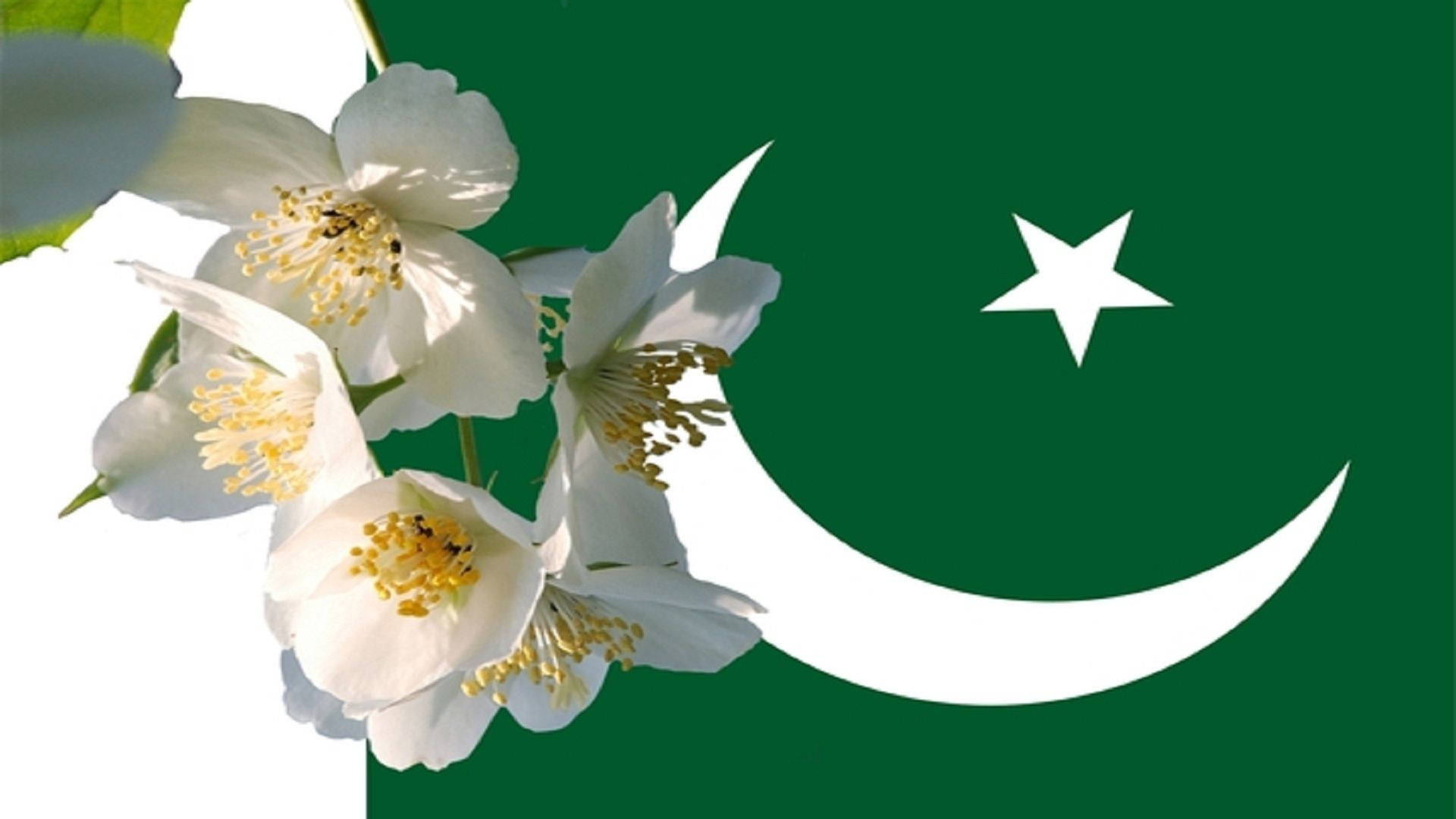 Caption: Vibrant Floral Emblem Of Pakistan Background
