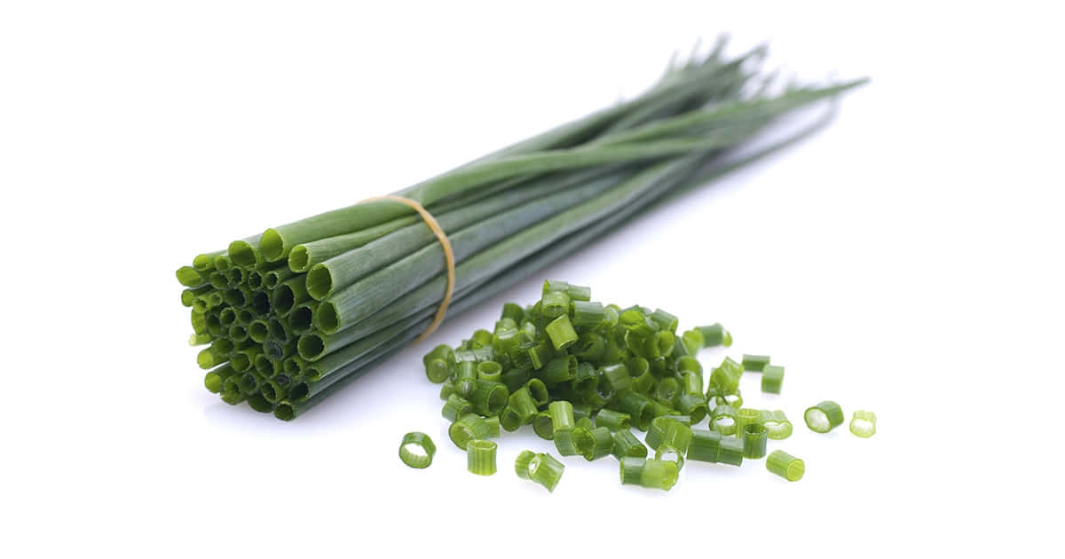 Caption: Vibrant Fresh Chopped Green Chives Background