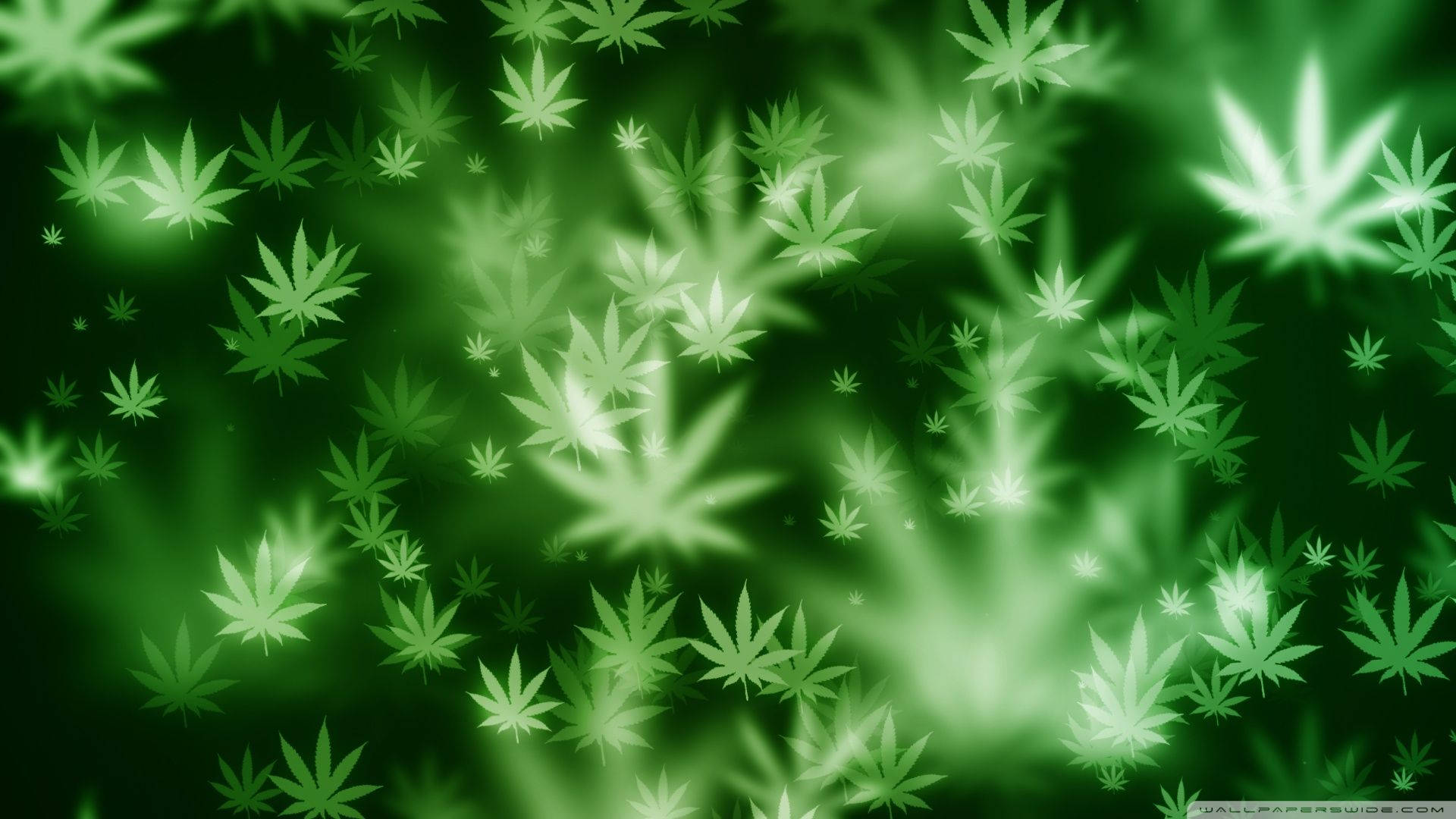 Caption: Vibrant Green Cannabis Leaf Background