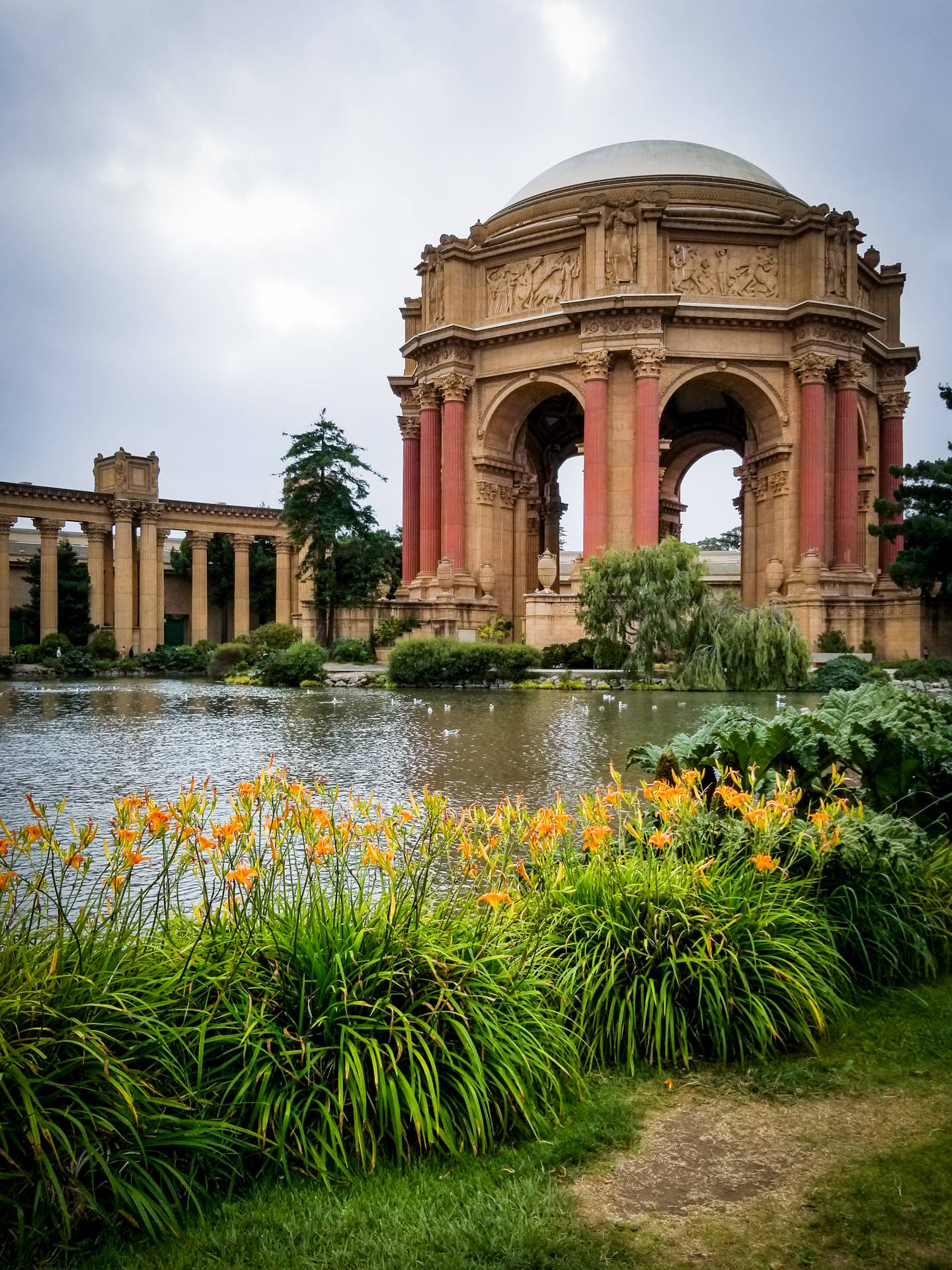 Caption: Vibrant Natural Beauty At The Palace Of Fine Arts Background