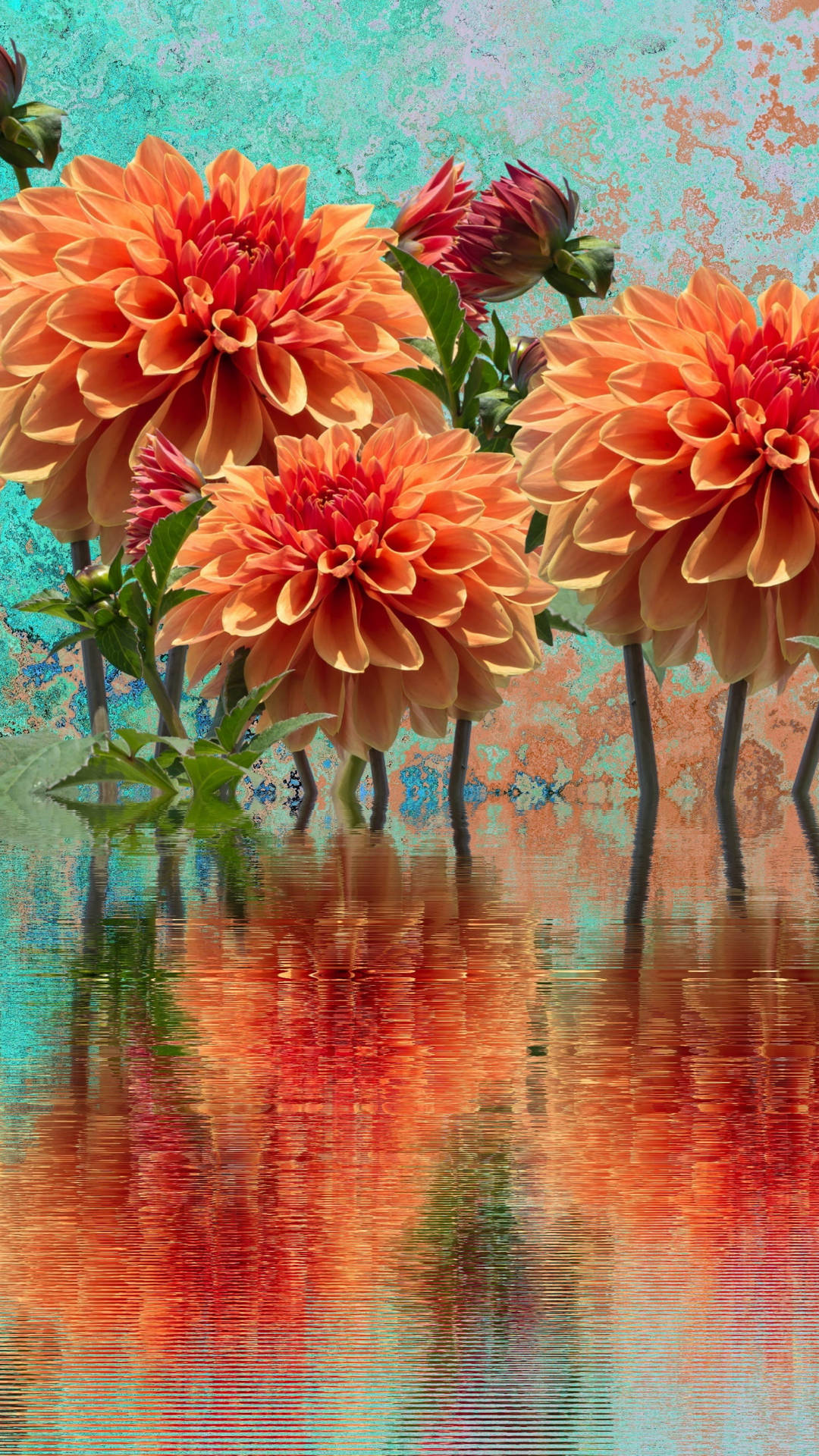 Caption: Vibrant Orange Dahlia Blooming Background